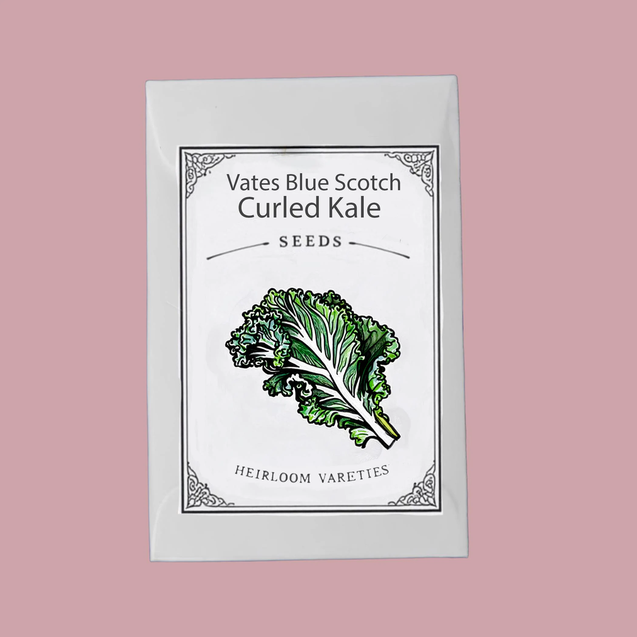 Vates Blue Scotch Curled Kale Seeds, Heirloom Non-GMO, Cold Hardy