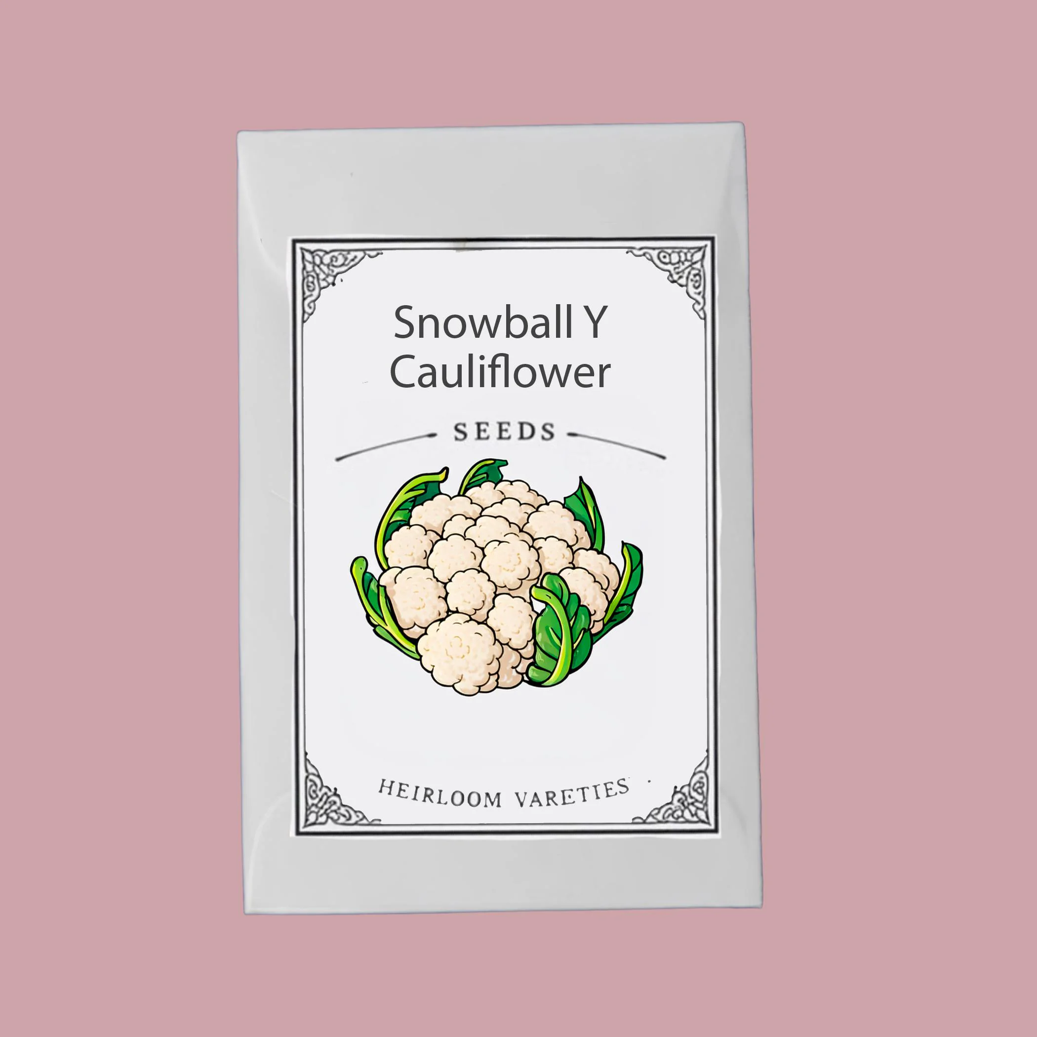 Snowball Y Improved Cauliflower Seeds, Heirloom Non-GMO, Pure White - image 5