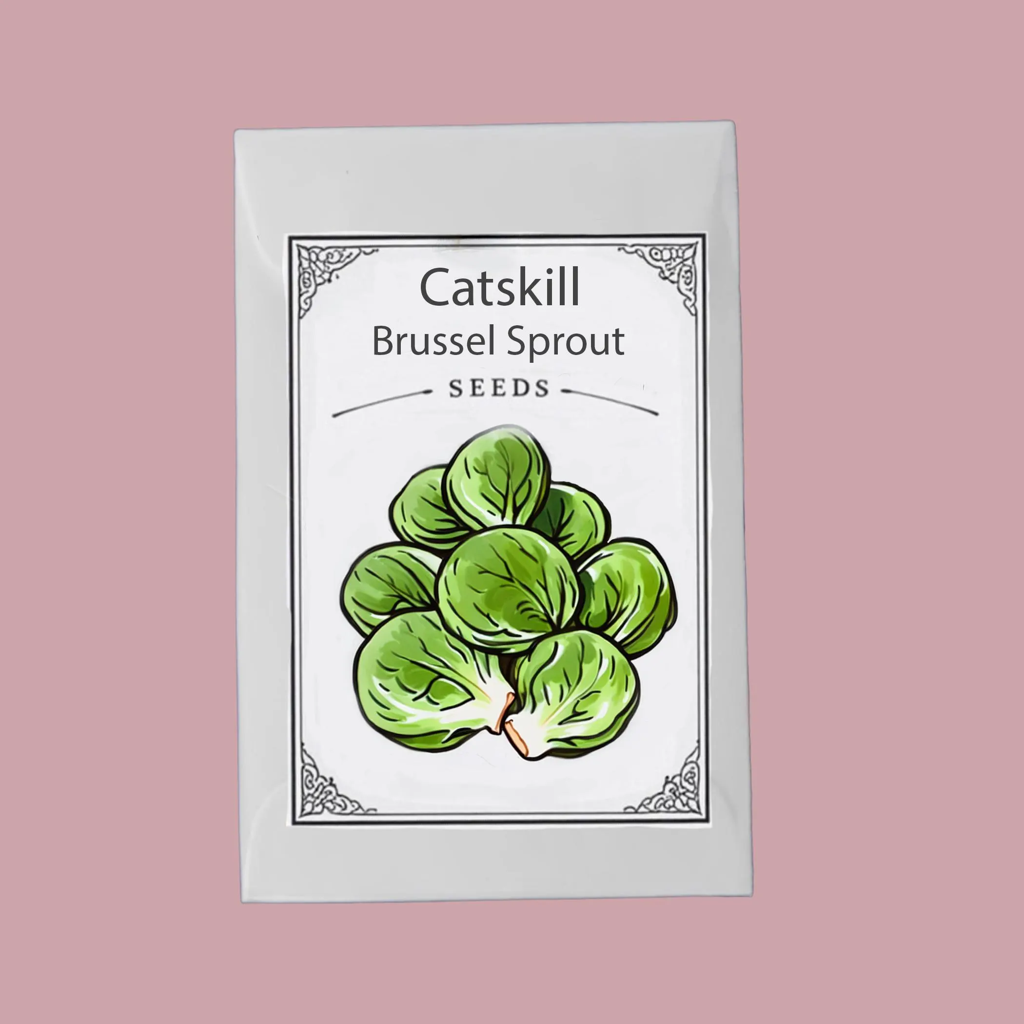 Catskill Brussel Sprout Seeds, Heirloom Non-GMO, Open Pollinated