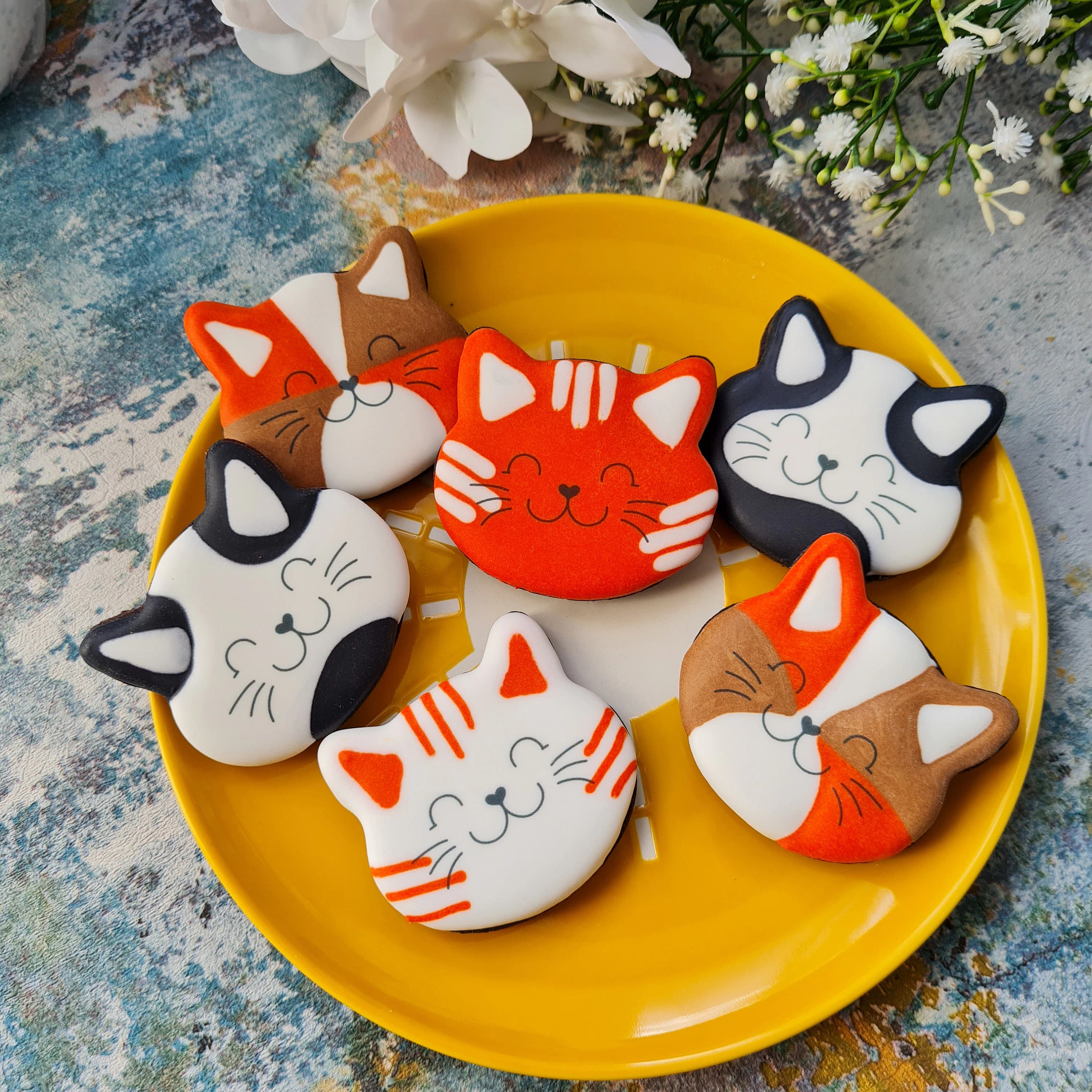 Cat lover biscuits gift box. Picture shows 6 hand-iced chocolate biscuits, the designs are cat faces in Kawaii style. The biscuits are served on a bright yellow plate.