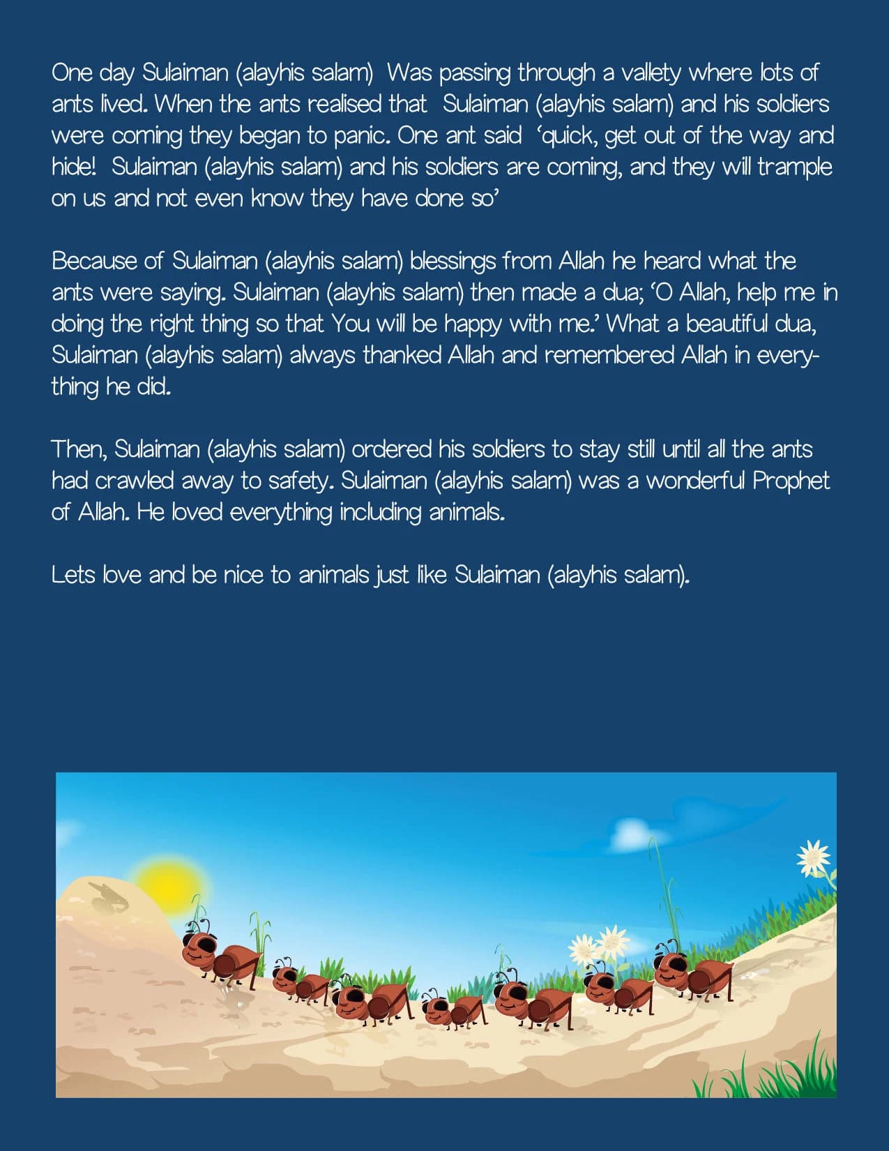 Prophet Sulaiman Children's Activity Book  I  Printable   I  Islamic Learning   I   Fun activities I  Homeschool   I Islam School - image 3