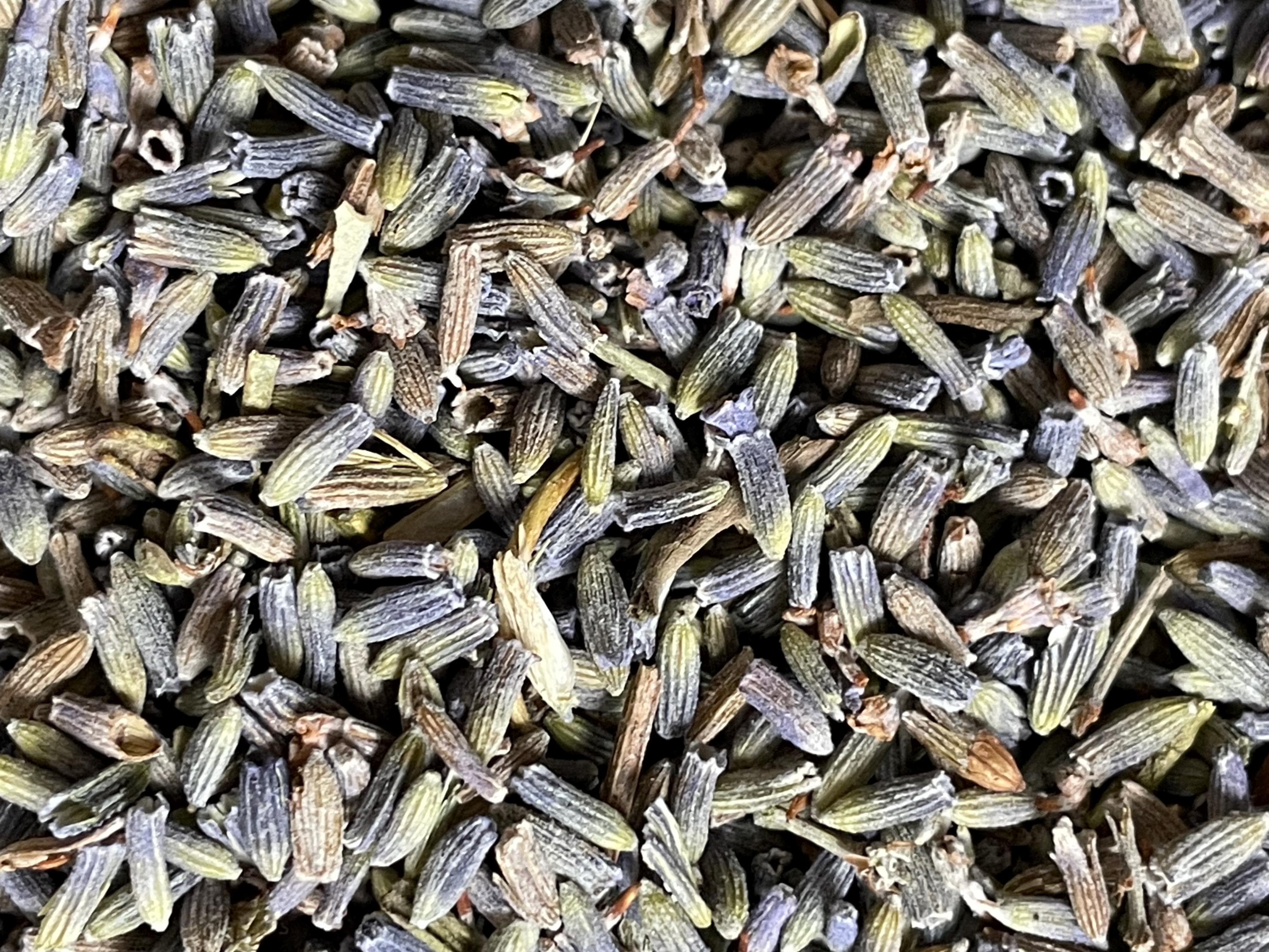 Dried Lavender Flowers, Food Grade, Tea, Culinary, Meditation, Fragrant Sachets, Free Shipping - image 3