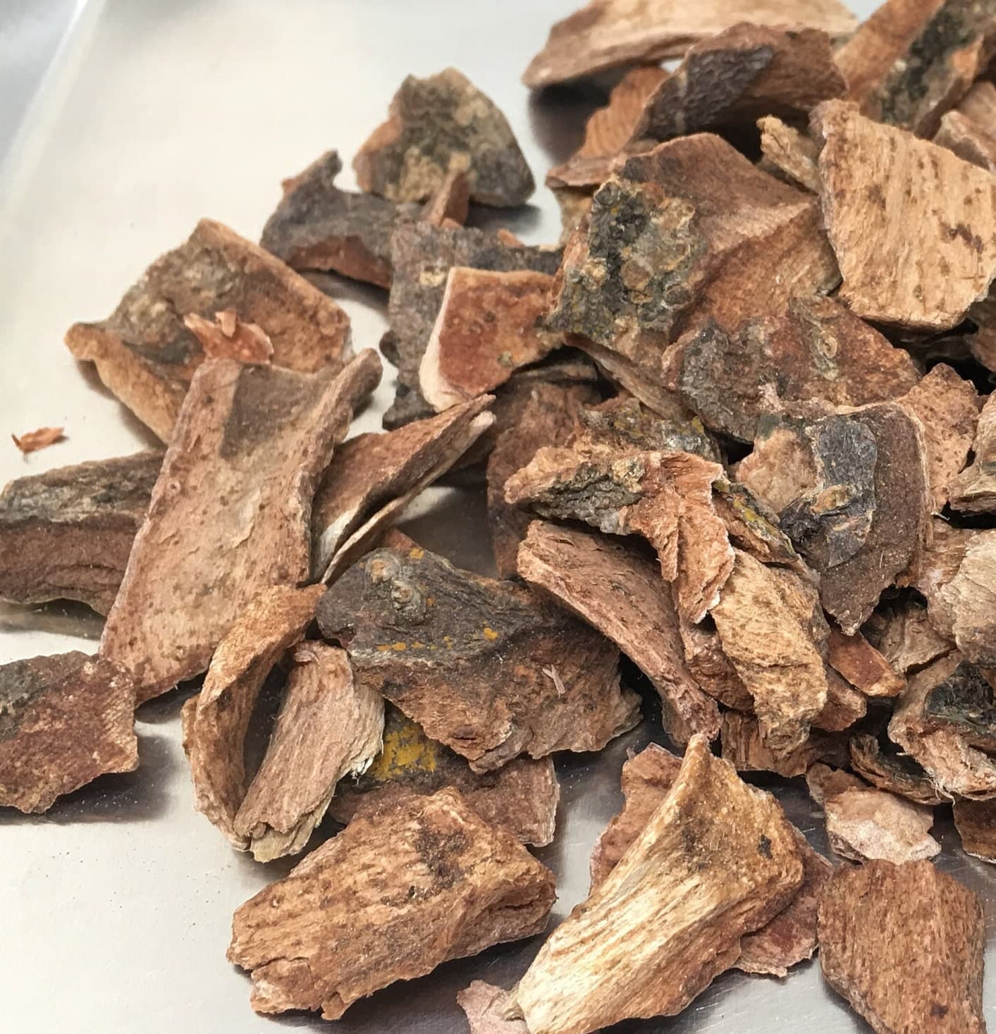 Cuachalalate Bark, Cut in Small Pieces, Amphipterygium adstringens, Perfect for Herbal Tea, Retail, Free Shipping - image 3
