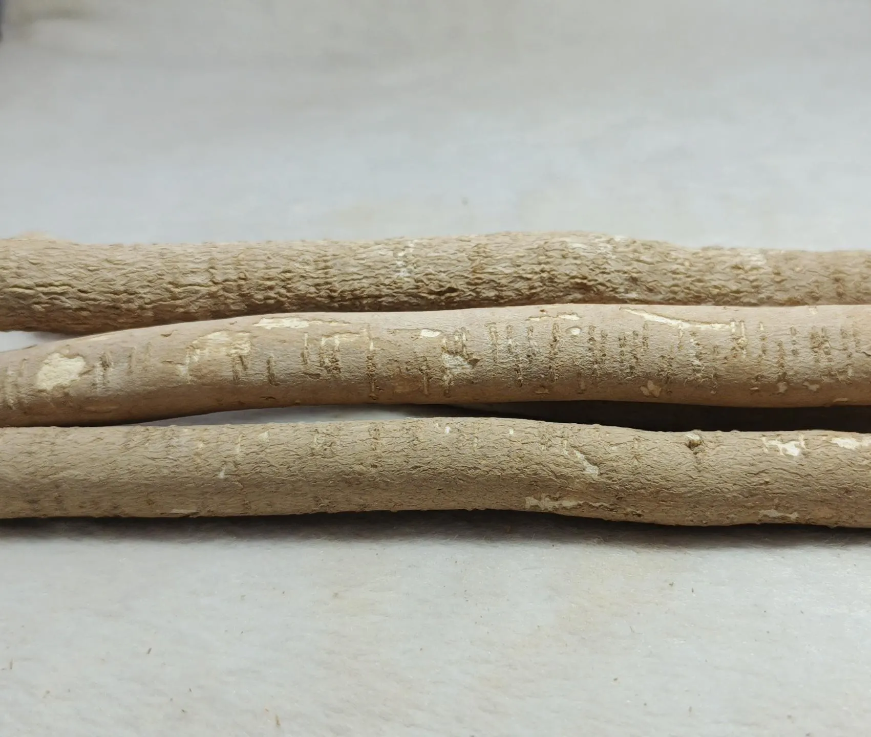 Buy 1 Get 1 Free Fresh Olive Miswak Sticks – 100% Natural Islamic Toothbrush for Oral Care, Teeth Whitening & Halal Dental Hygiene. - image 4