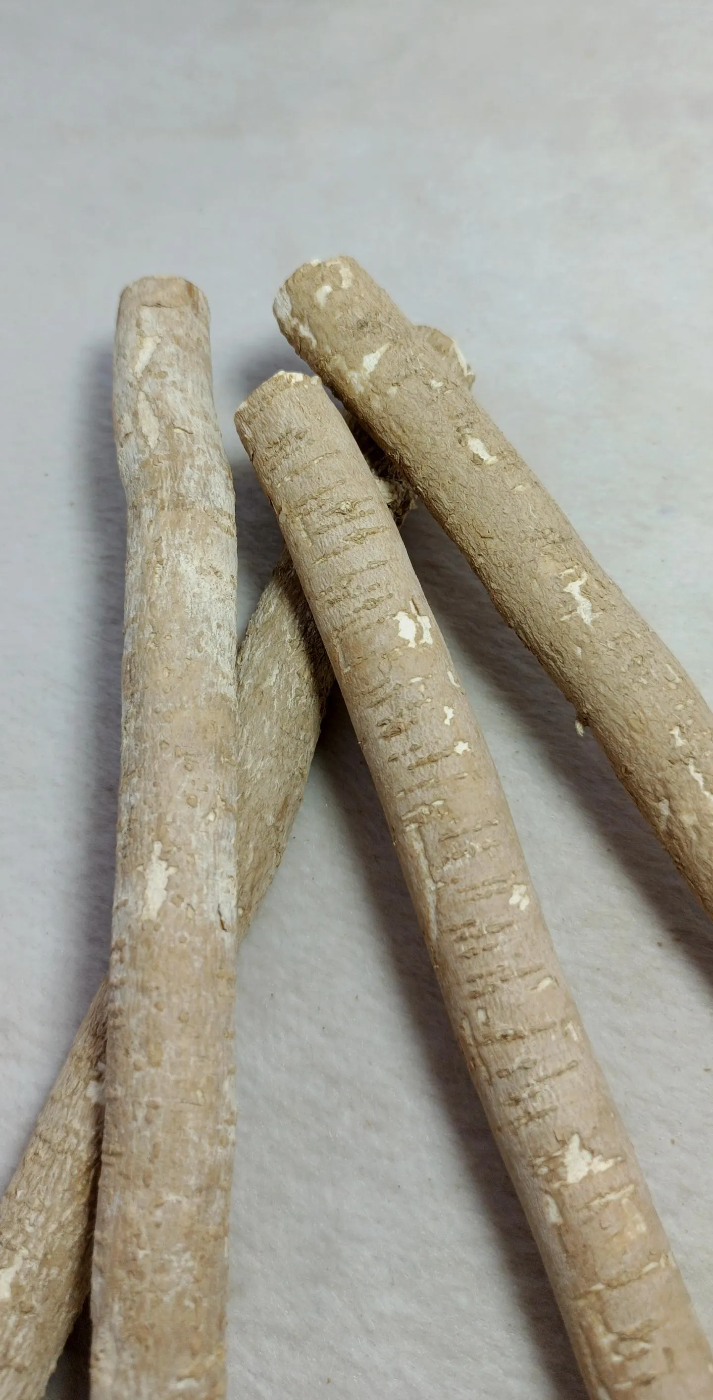 Buy 1 Get 1 Free Fresh Olive Miswak Sticks – 100% Natural Islamic Toothbrush for Oral Care, Teeth Whitening & Halal Dental Hygiene. - image 3