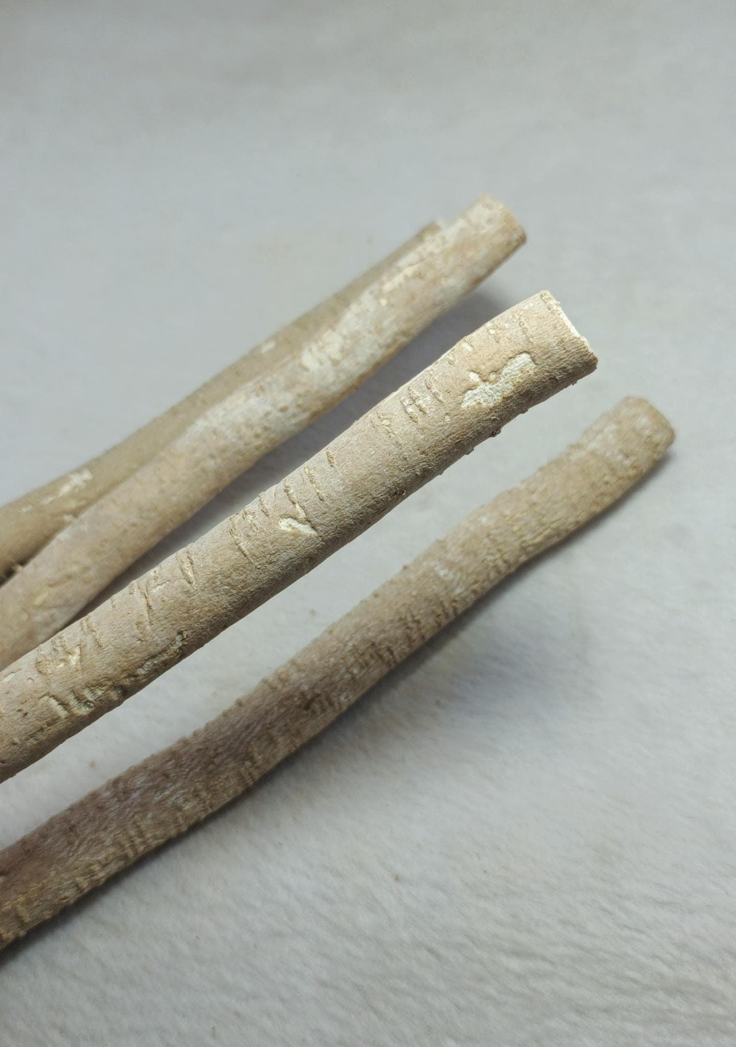 Buy 1 Get 1 Free Fresh Olive Miswak Sticks – 100% Natural Islamic Toothbrush for Oral Care, Teeth Whitening & Halal Dental Hygiene.