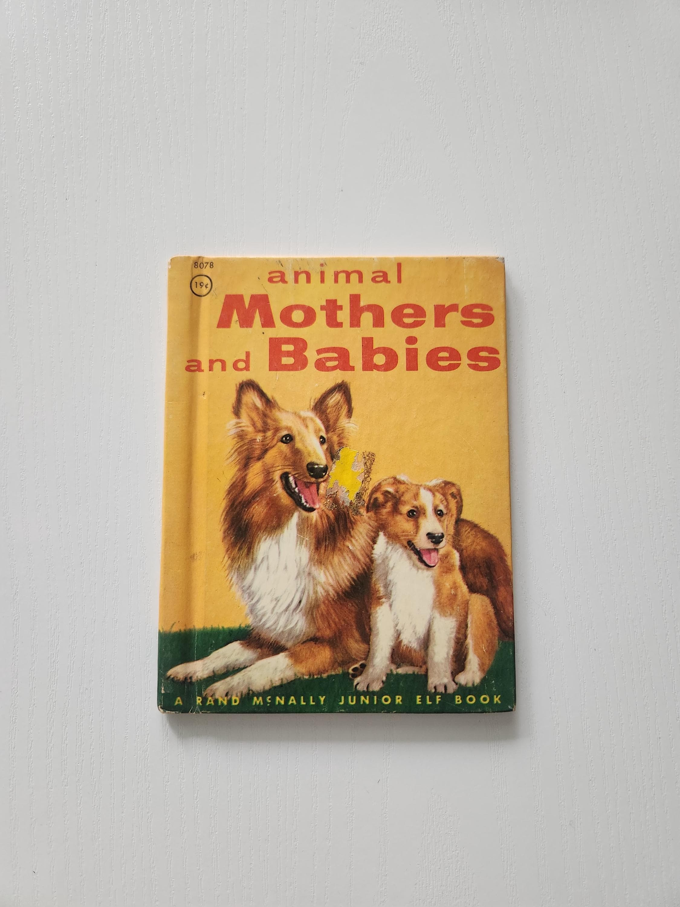 Vintage Animal Mothers & Babies Book, Rand McNally Junior, 1956 Hardcover