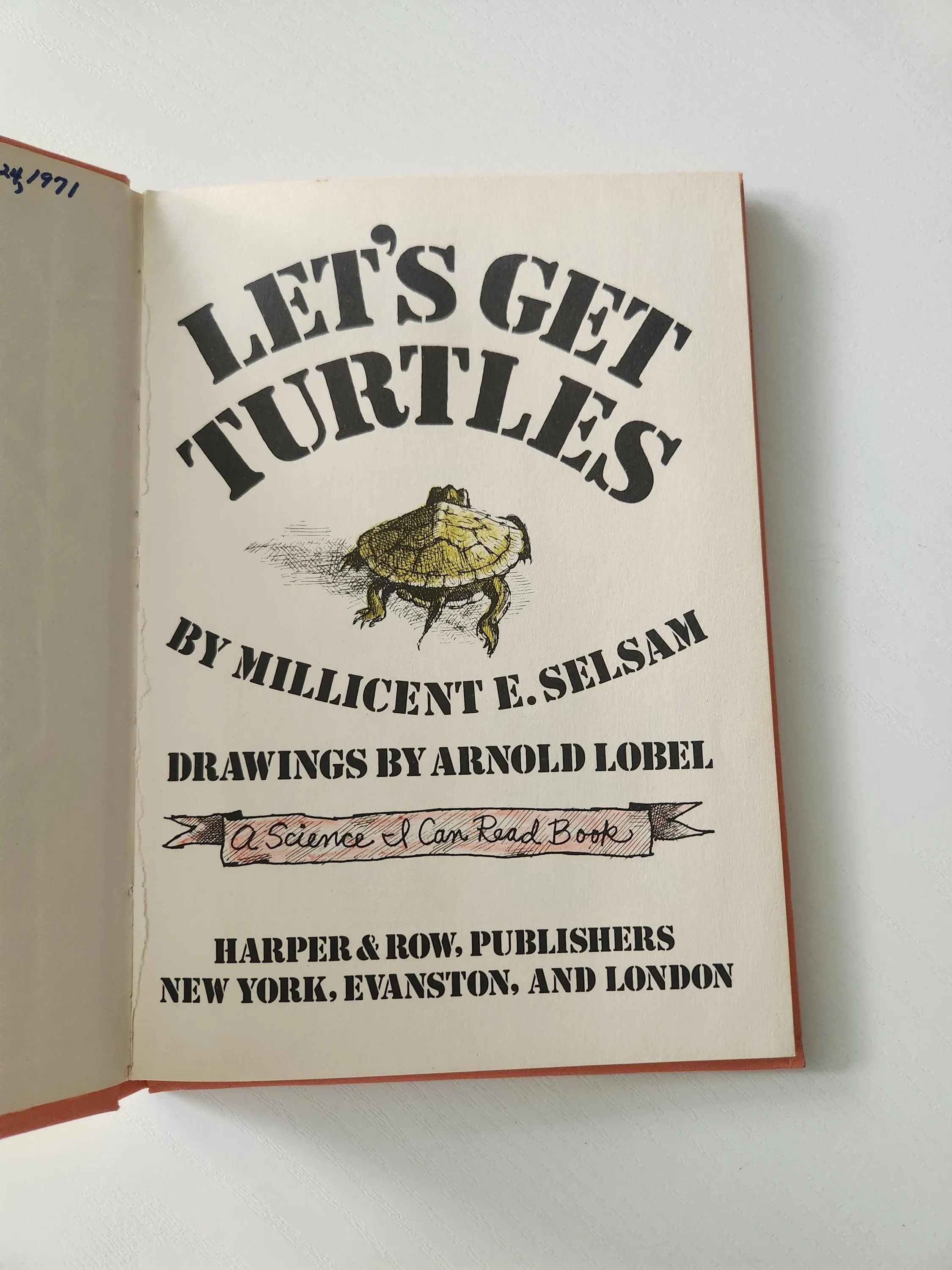 Vintage Let's Get Turtles 1965 Children's Science Book by Millicent Selsam, Arnold Lobel Illustrations - image 4