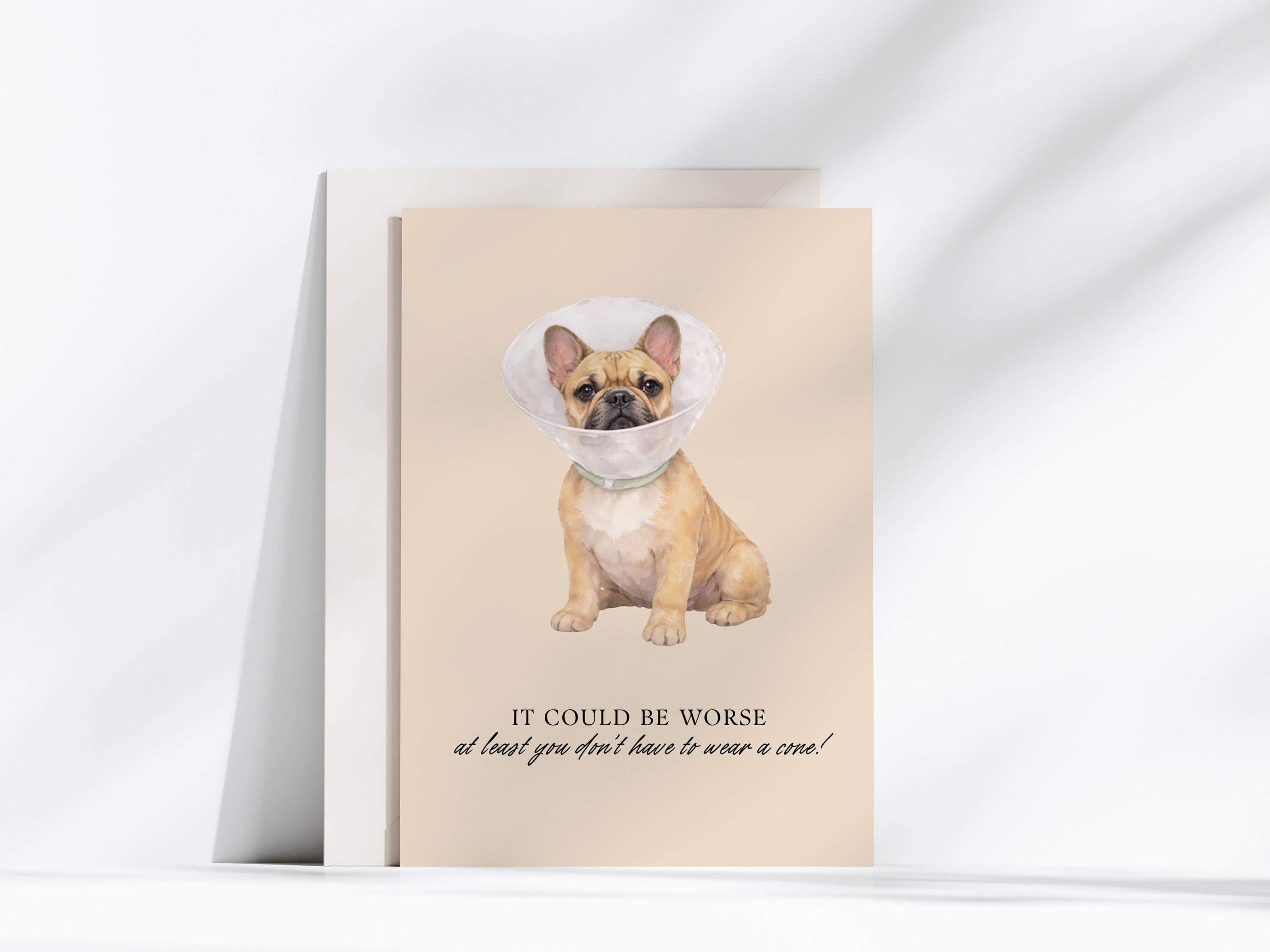 French Bulldog Get Well Card | Funny Dog Sympathy (Digital Download 5x7 PDF & JPG) - image 3