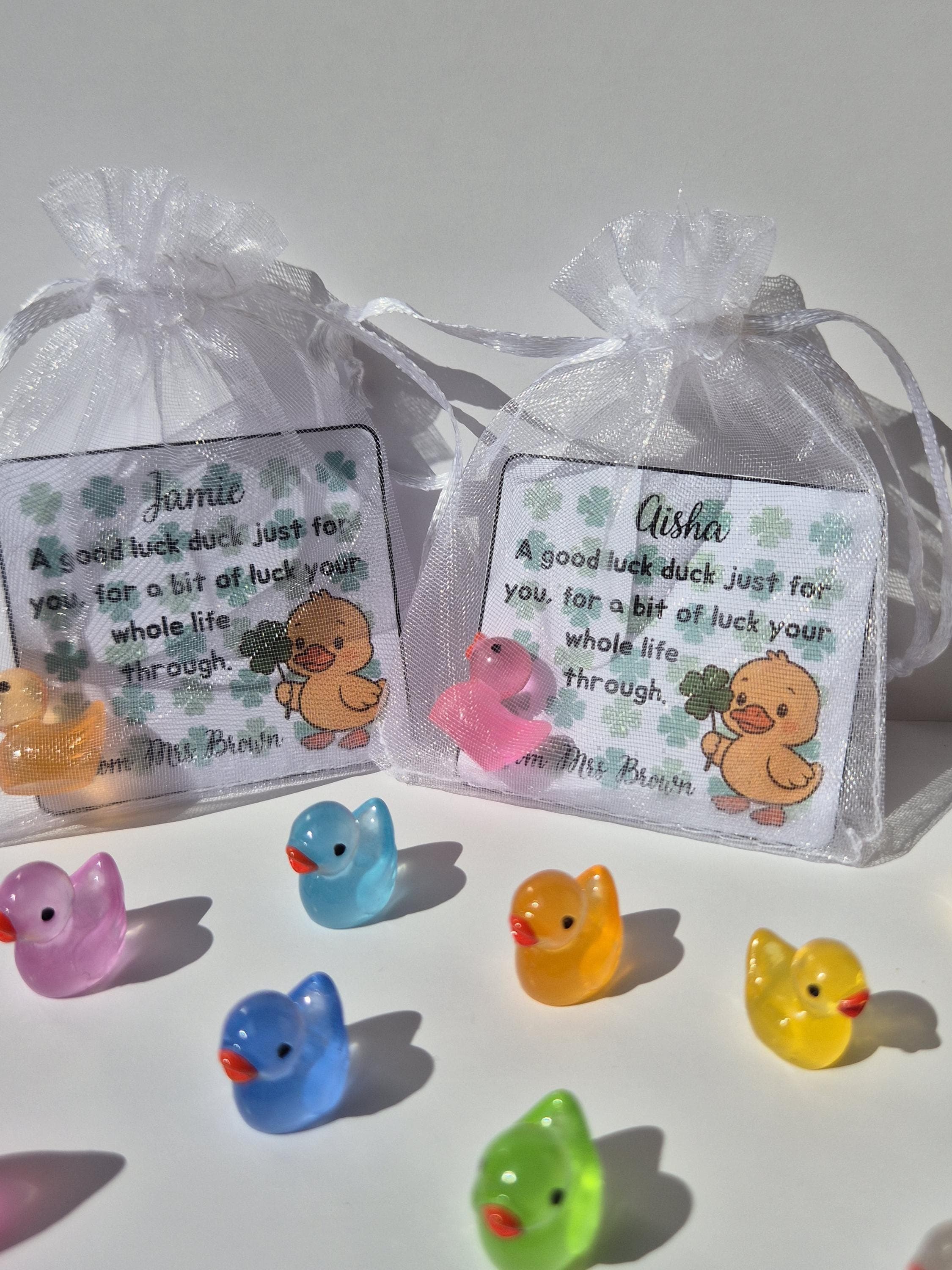School Leaver Gifts | End of Year Gifts for Students | Good Luck Duck | Mini Duck Keepsake | Gifts for Students | Class of 2026