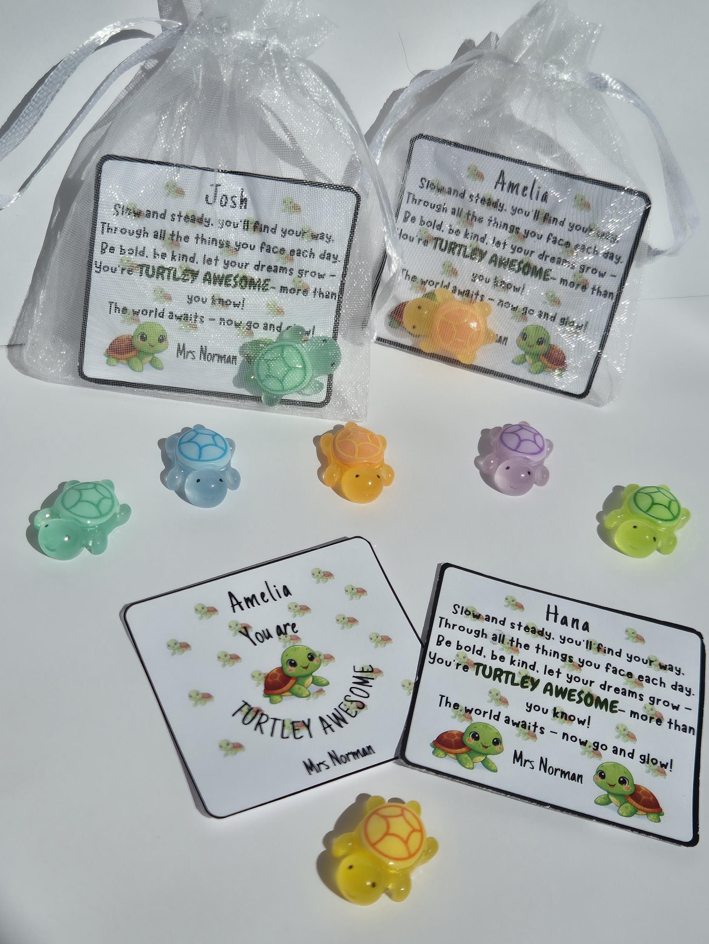 School Leaver Gifts | Turtley Awesome | End of Year Gift for Students | Turtles | Mini Turtle Keepsake | Gifts for Students | Class of 2026 - image 3