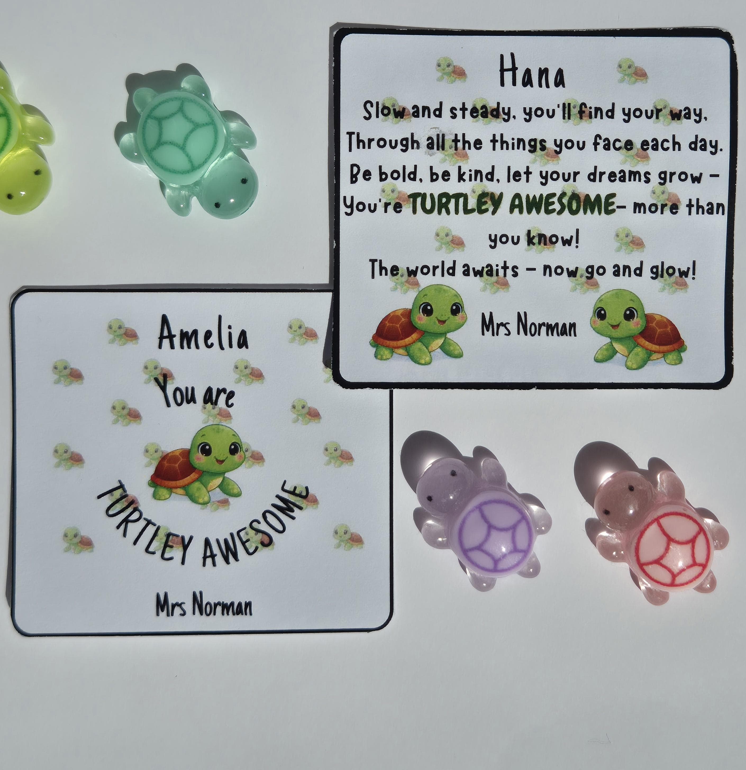 School Leaver Gifts | Turtley Awesome | End of Year Gift for Students | Turtles | Mini Turtle Keepsake | Gifts for Students | Class of 2026 - image 4