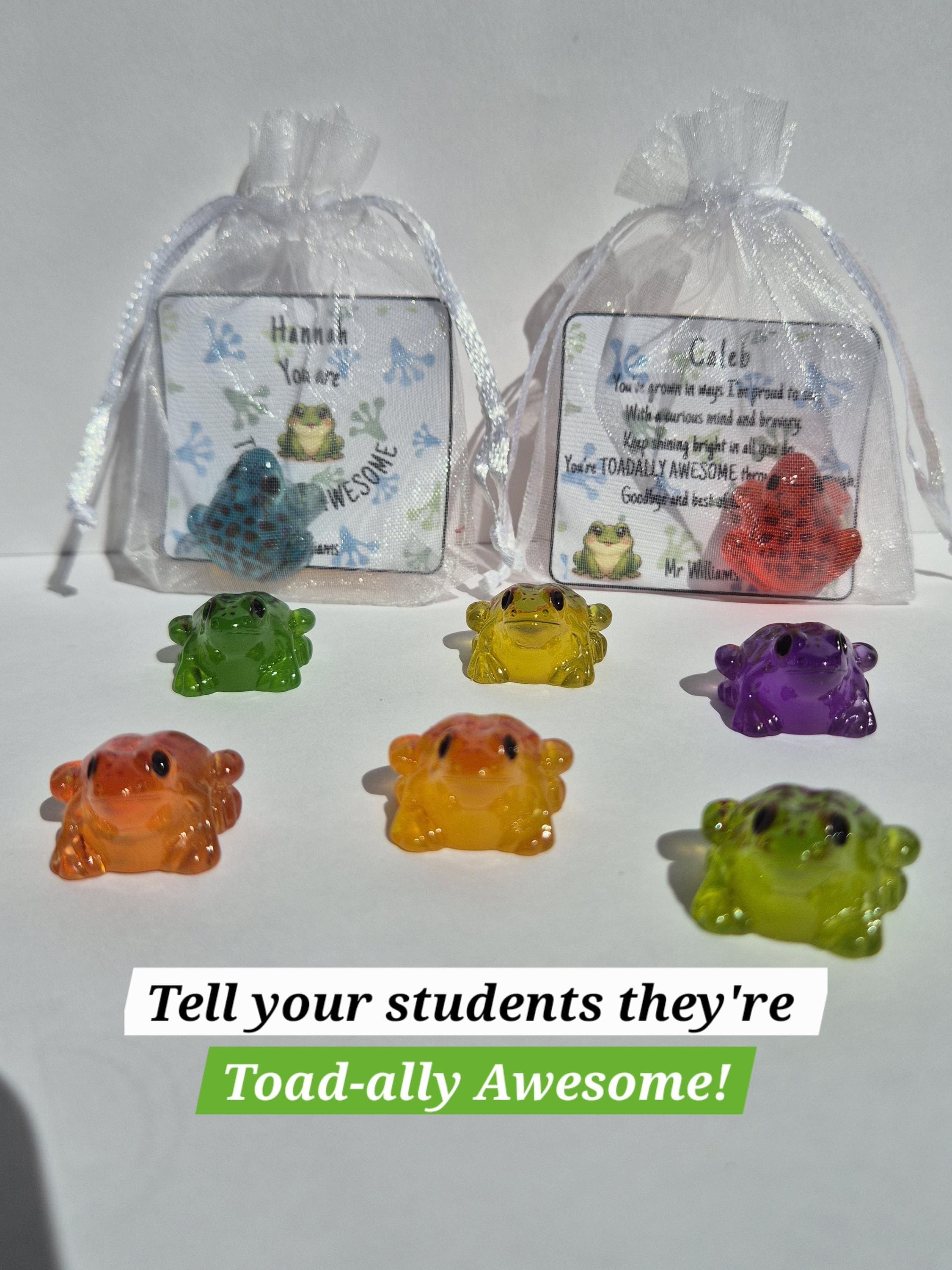 Mini Toad Keepsake | School Leaver Gifts | End of Year Gifts for Students | Toad-ally Awesome | Gifts for Students | Class of 2026 |