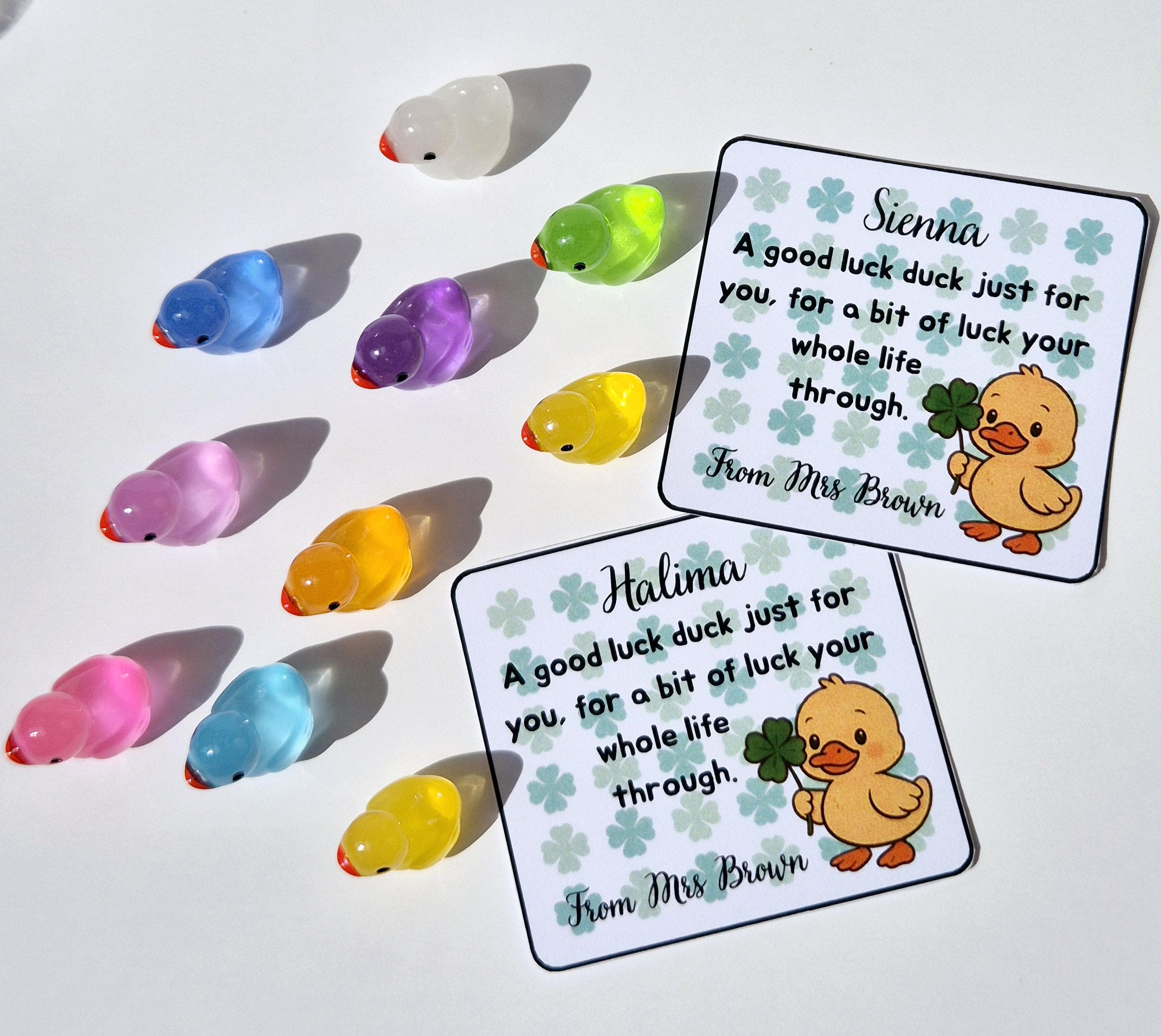 School Leaver Gifts | End of Year Gifts for Students | Good Luck Duck | Mini Duck Keepsake | Gifts for Students | Class of 2026 - image 4