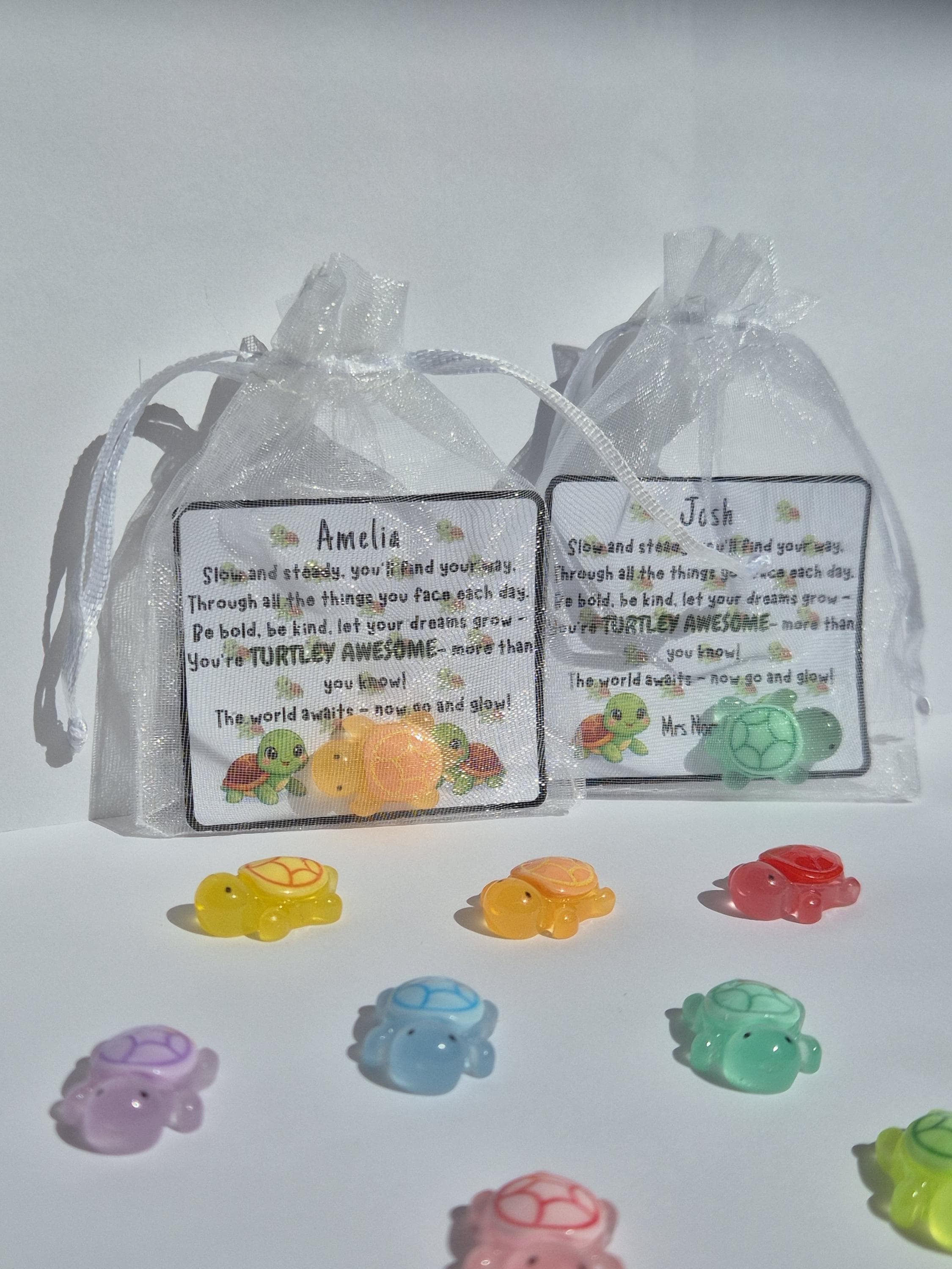 School Leaver Gifts | Turtley Awesome | End of Year Gift for Students | Turtles | Mini Turtle Keepsake | Gifts for Students | Class of 2026