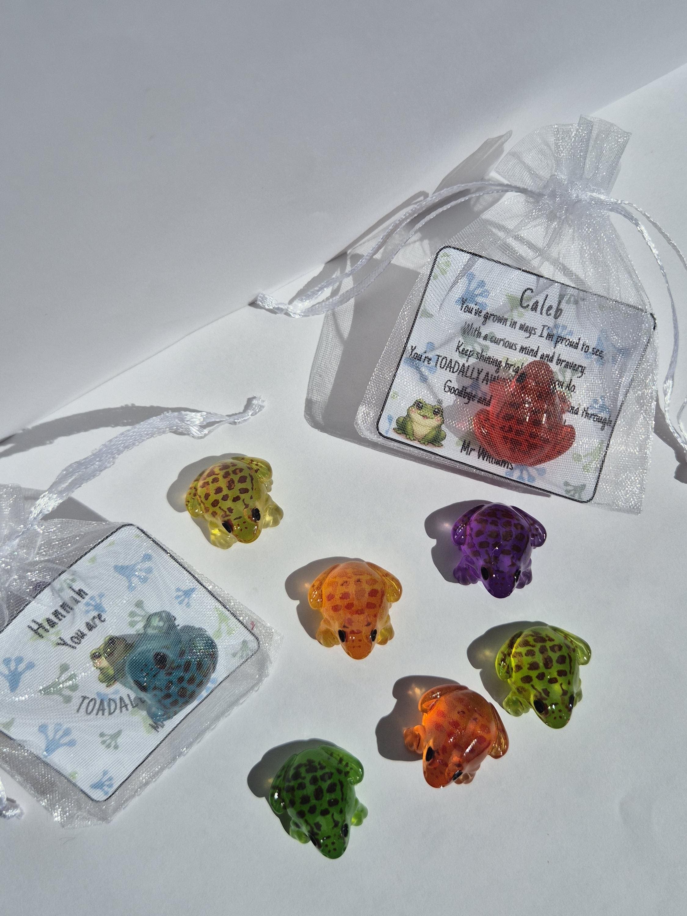 Mini Toad Keepsake | School Leaver Gifts | End of Year Gifts for Students | Toad-ally Awesome | Gifts for Students | Class of 2026 | - image 5