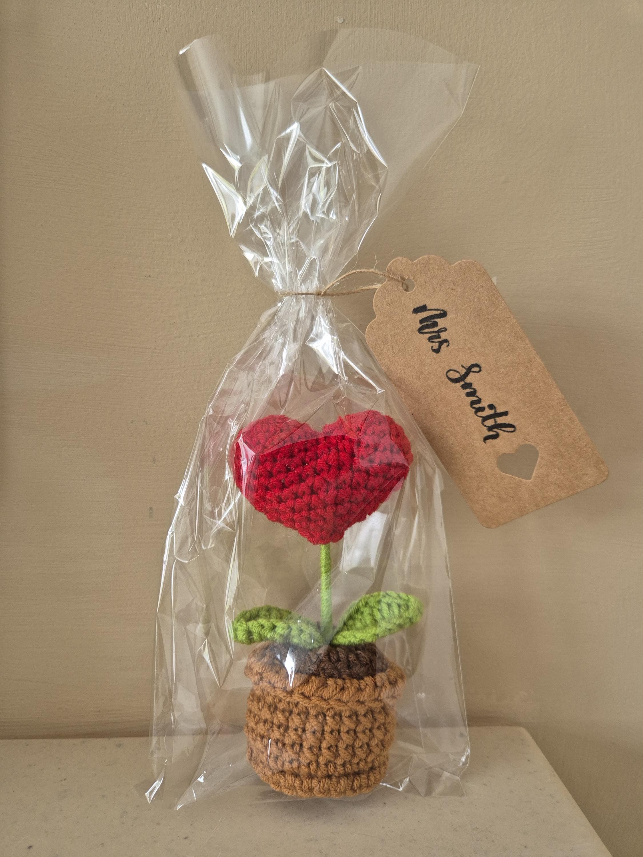 Teacher Gift | Handmade Crochet Flower with Wildflower seed Packet |  End of term Teacher Gift - image 4