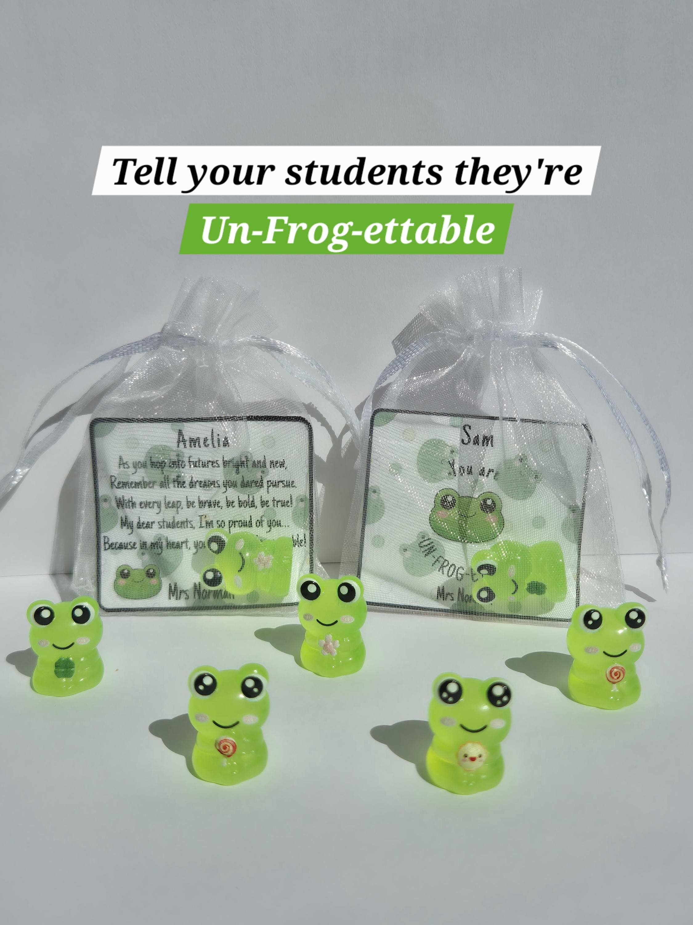 Mini Frog Keepsake | School Leaver Gifts | End of Year Gifts for Students | Un-Frog-ettable | Gifts for Students | Class of 2026 |
