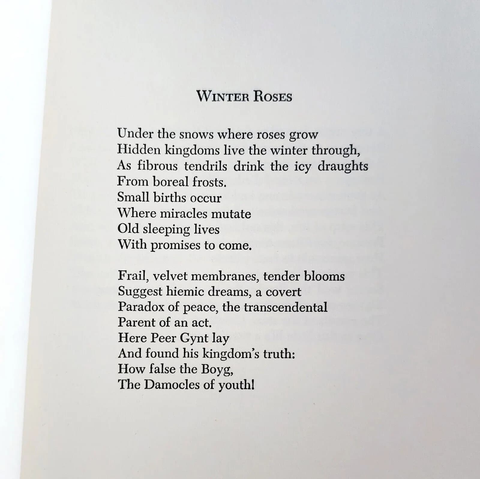 Winter Roses Clinton Blake Signed 1st Edition 1975 w/ Real Photo Of Author E47 - image 5