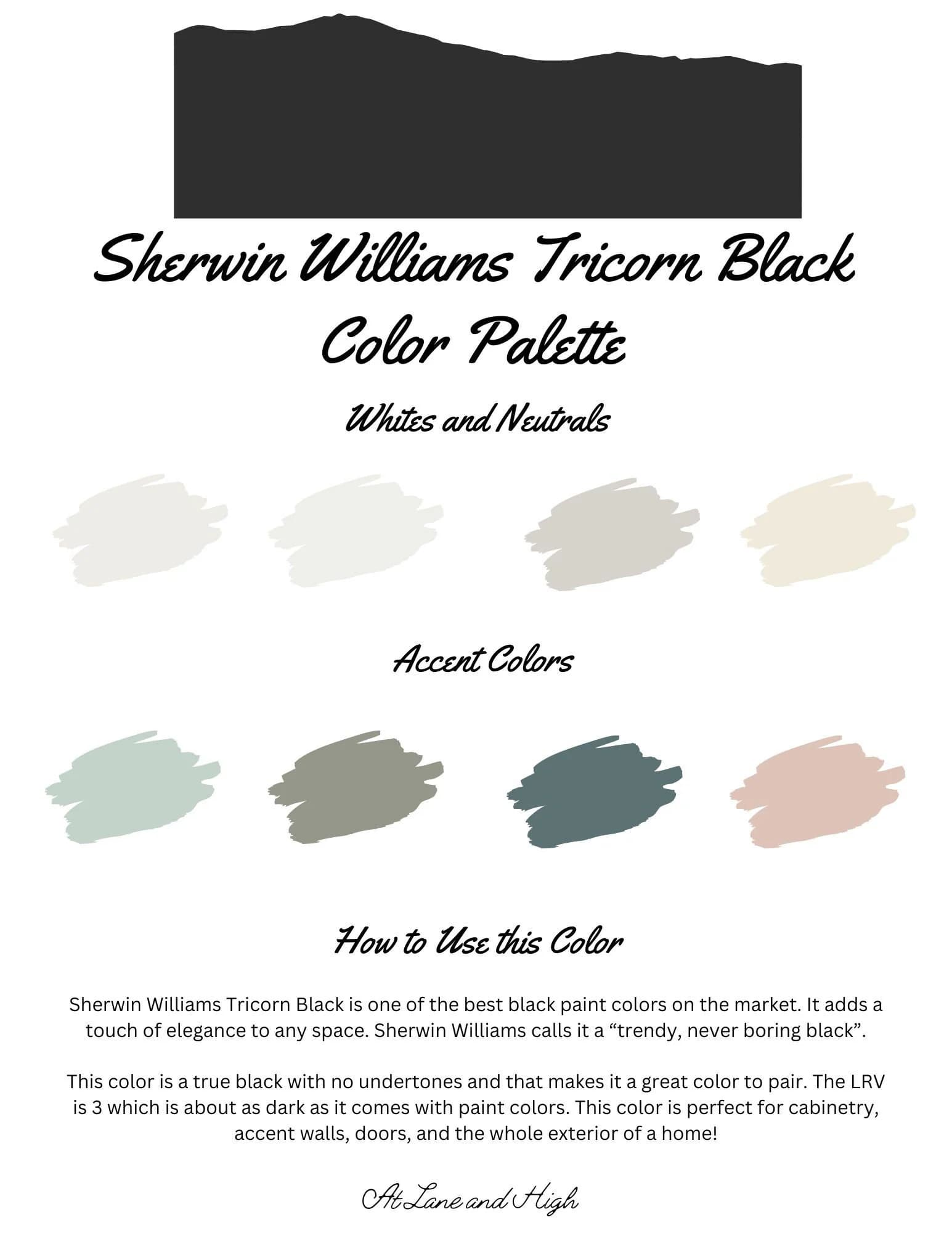 Tricorn Black by Sherwin Williams Whole Home Color Palette