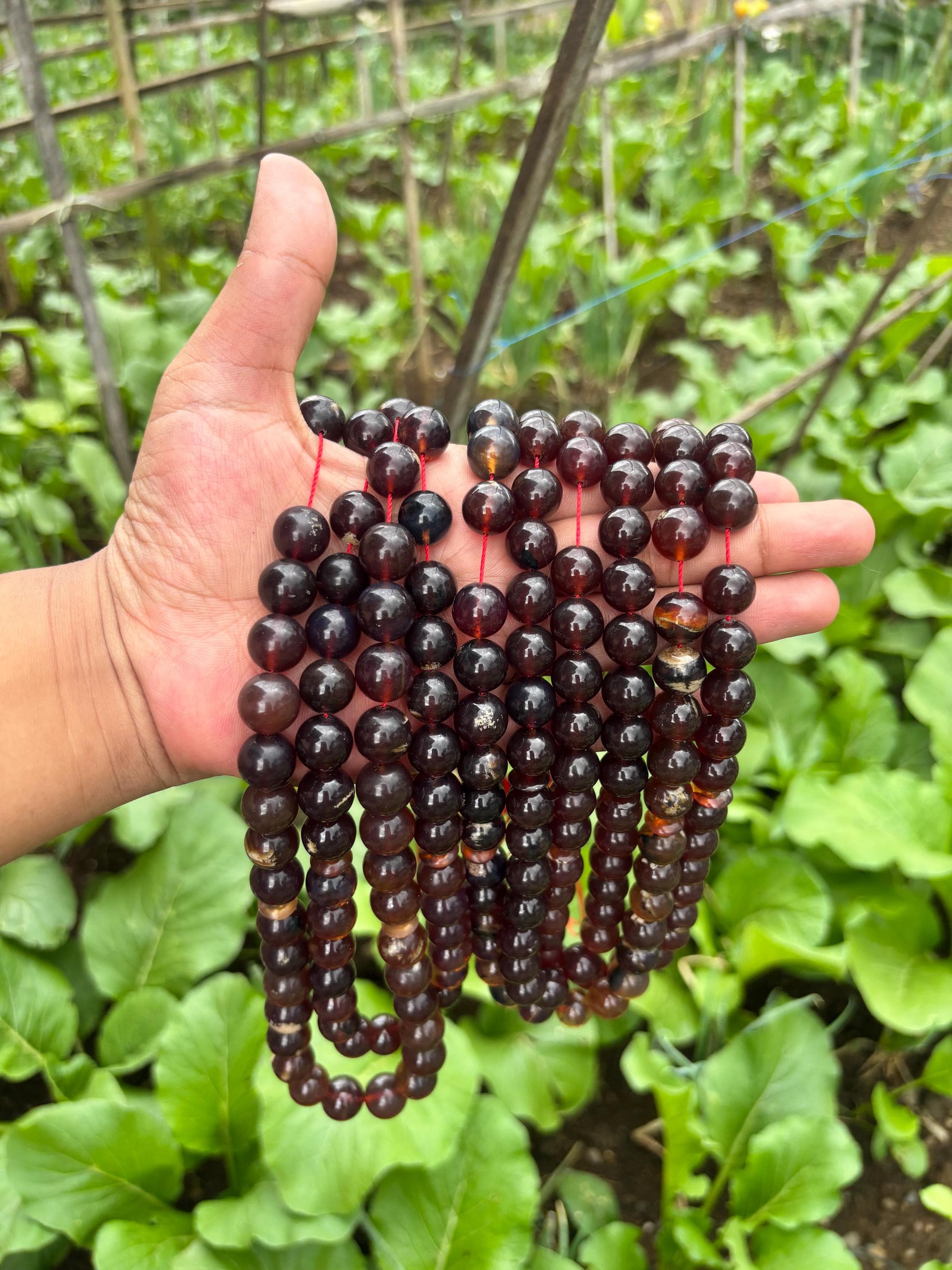Sumatra Amber Round Beads: Indonesian Fossil Resin, Jewelry Making - image 3
