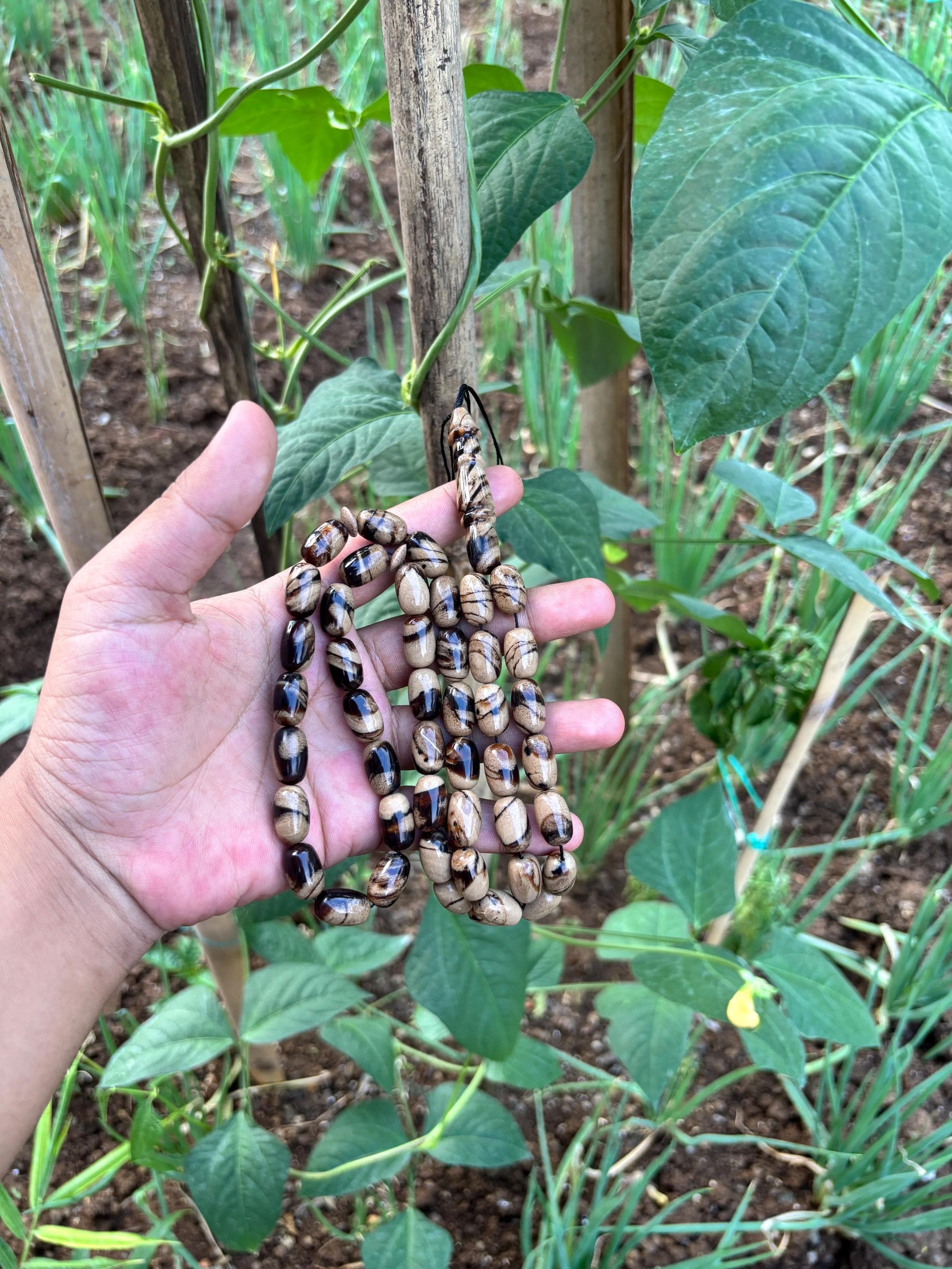 Sumatra Zebra Amber Tasbih | Natural Indonesian Olive Shape Prayer Beads