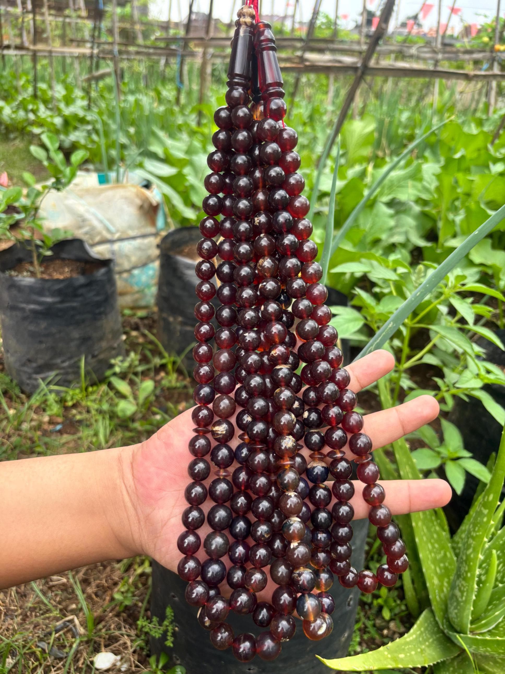 Sumatra Amber Round Beads: Indonesian Fossil Resin, Jewelry Making