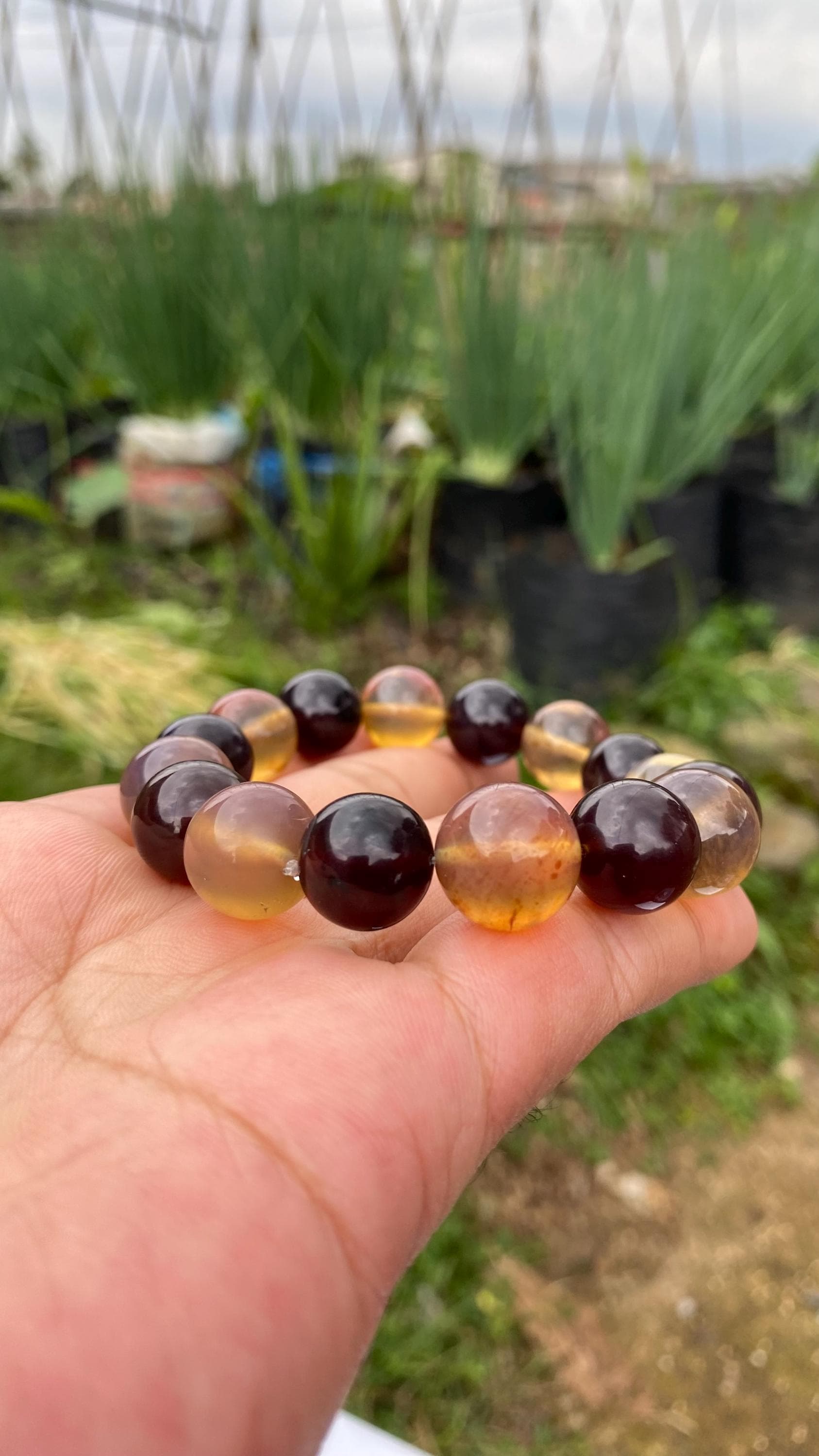 Sumatra Amber Bracelet – Red Yellow Natural Fossil Gemstone Jewelry - image 5