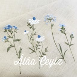 AlaaCeyiz