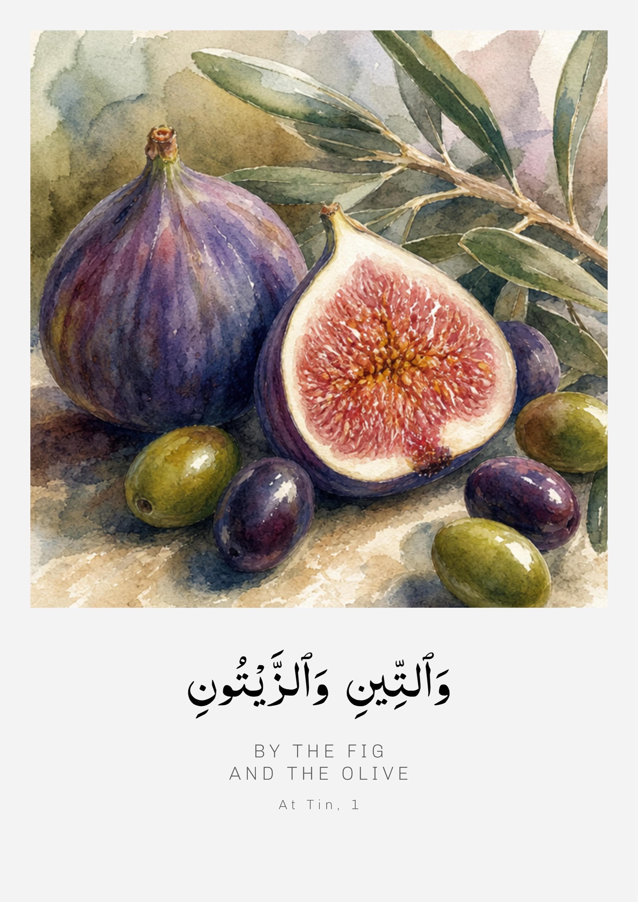 Fig and Olive Quran Wall Art | Surah At-Tin 95:1 | Watercolour Islamic Print - image 5