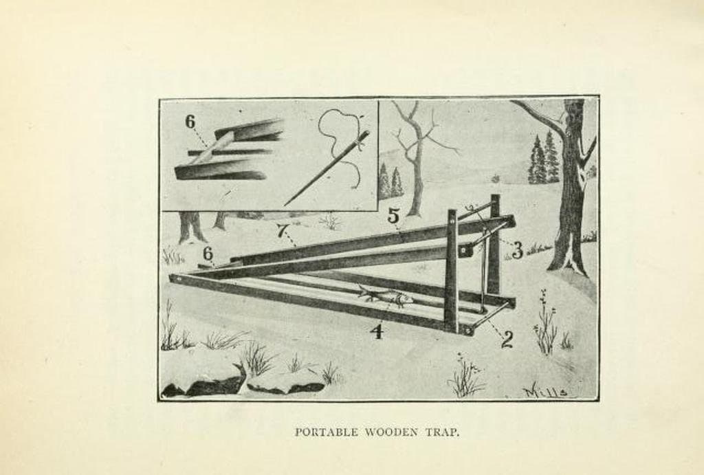 211 Rare Old Books on Outdoor Survival Bushcraft Wilderness Trapping Hunting Camping Hiking FirstAid Fishing Shelter - Instant PDF DownloaD - image 5