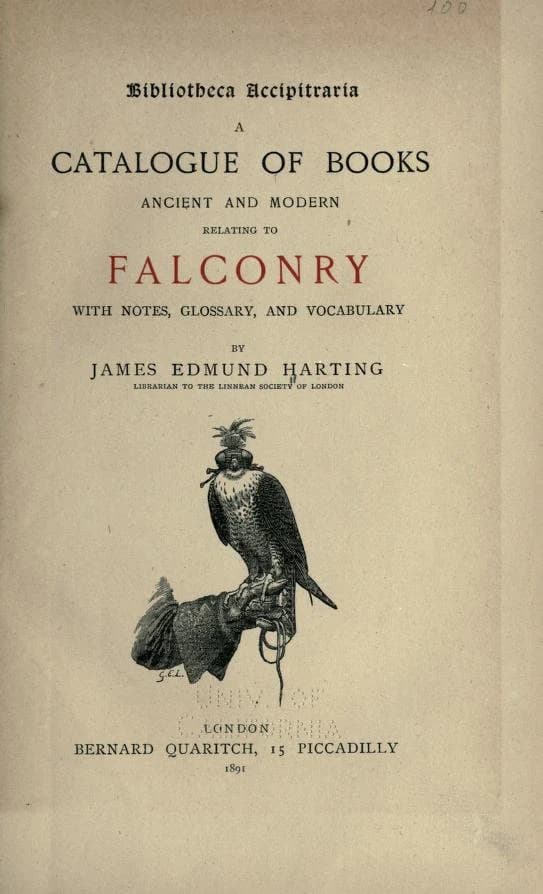 110 Rare Old Books on Falconry Hawking Hawk Falcon Training Coursing Hunting Falconer Techniques Raptor Collection | Size 1.7 GB - image 4