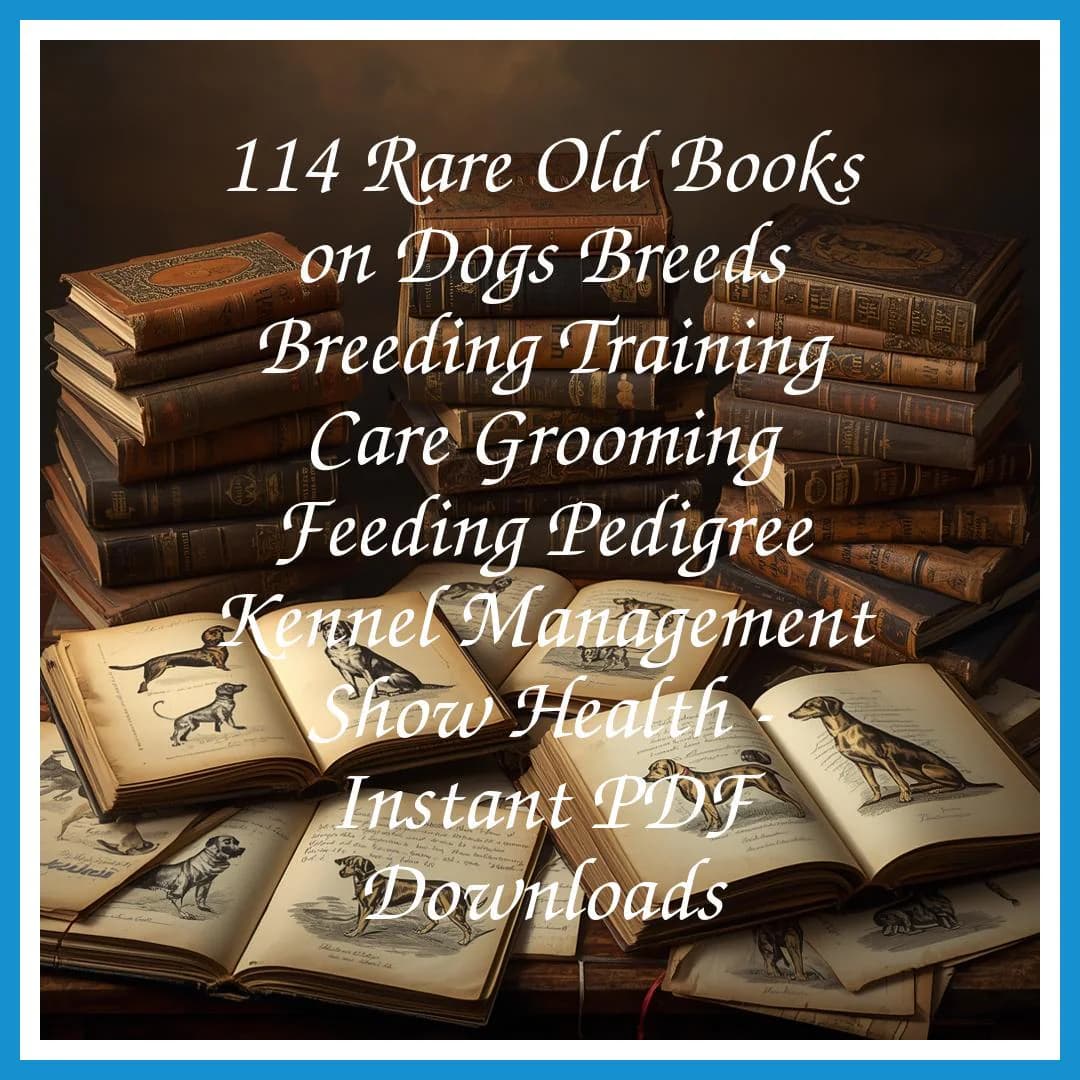 114 Rare Old Books on Dogs Breeds Breeding Training Care Grooming Feeding Pedigree Kennel Management Show Collection | Size 2.0 GB - image 4