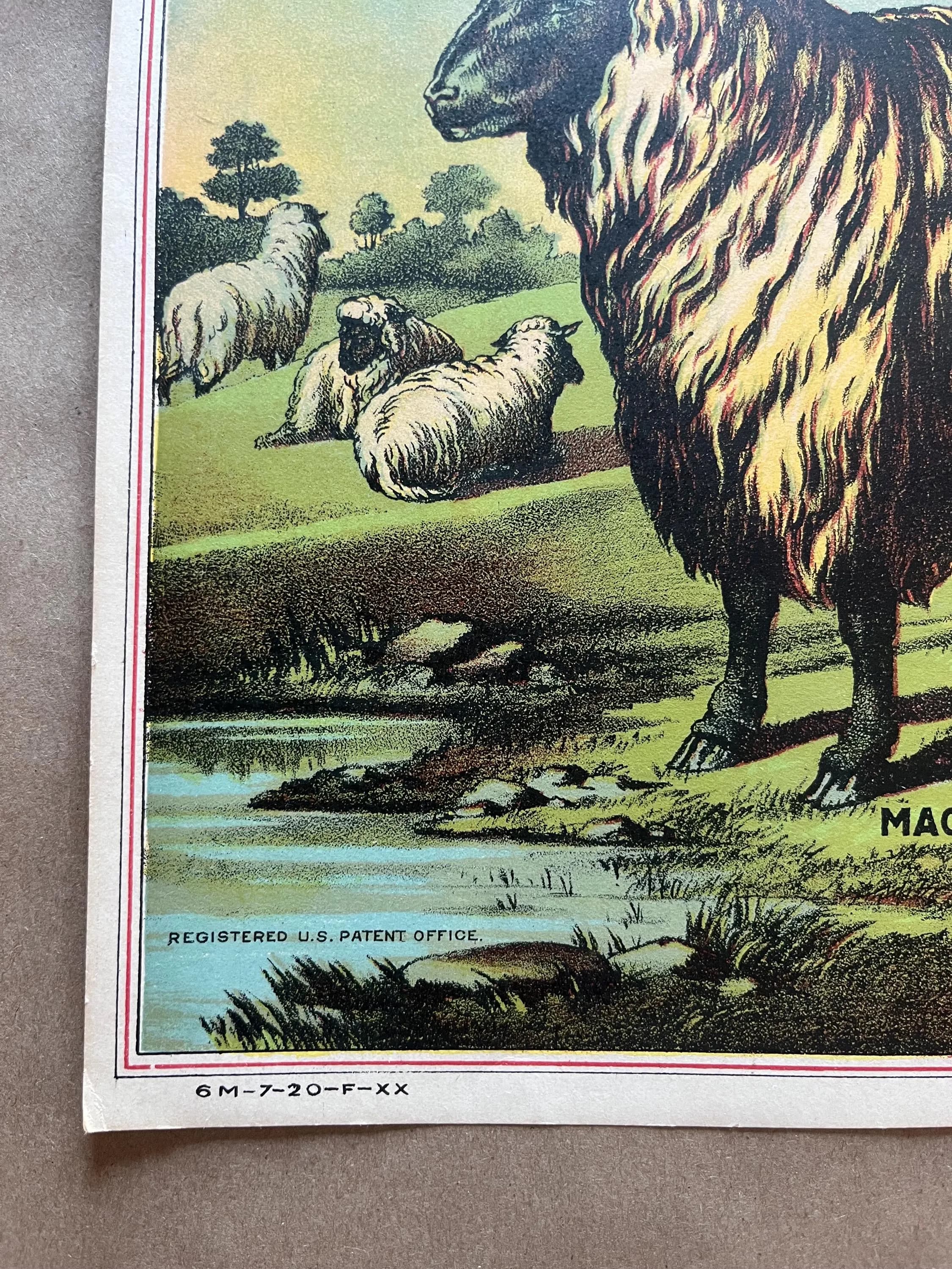 A Hoen Southdown Tobacco Crate Label Maclin Zimmer McGill Sheep Lithograph Unused - image 3