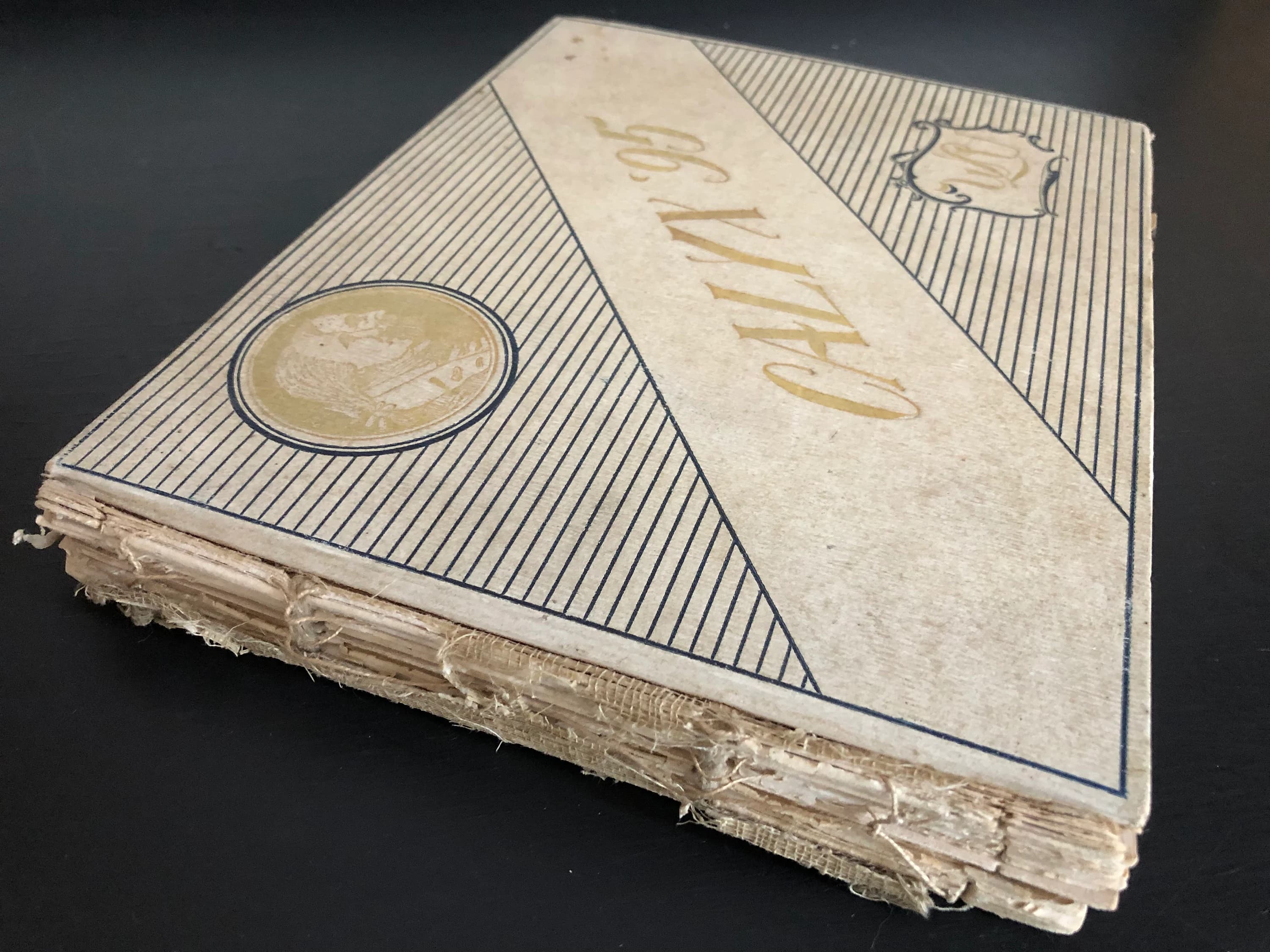 1895 Calyx Washington & Lee University College First Published Yearbook - image 3