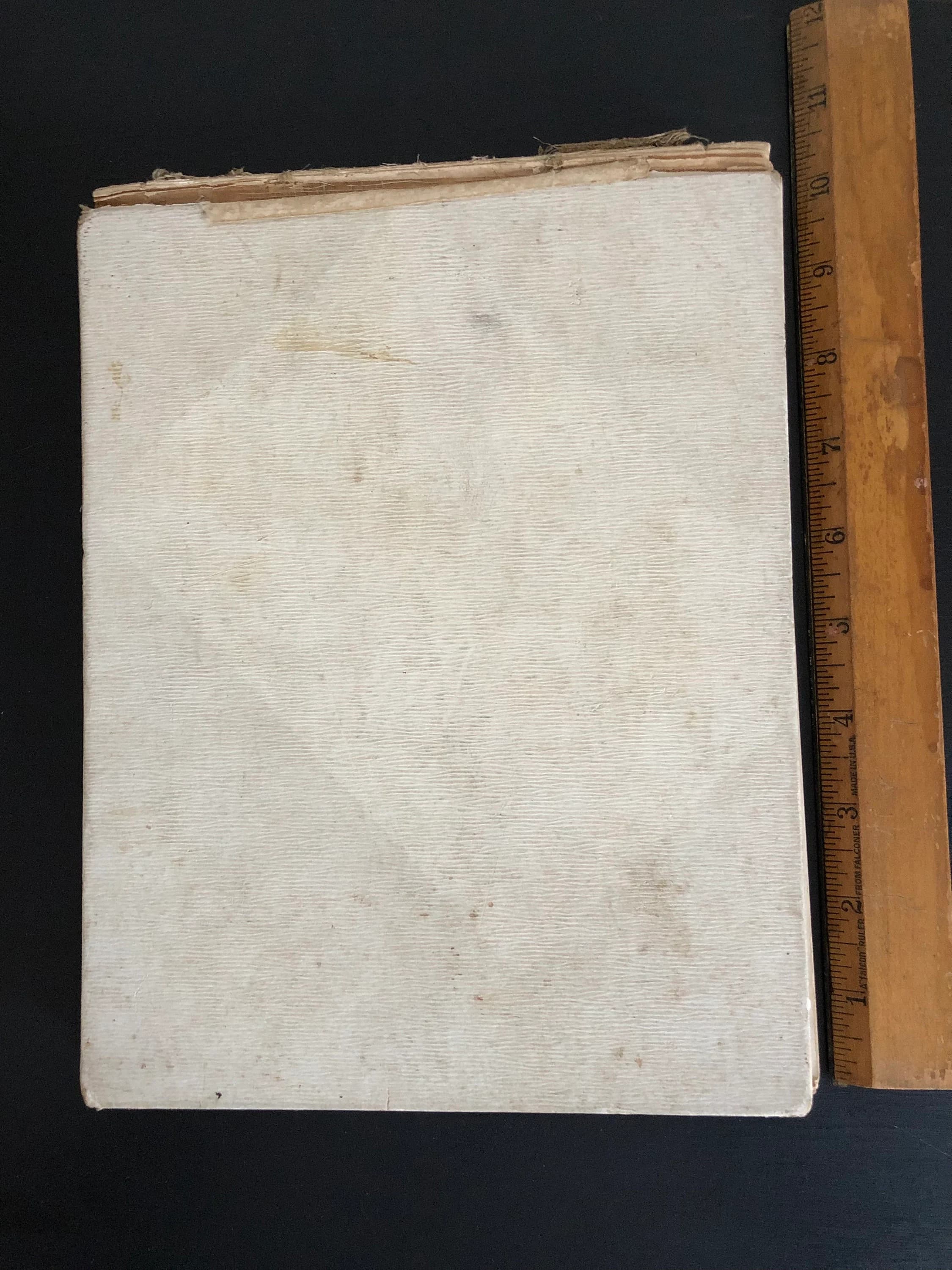 1895 Calyx Washington & Lee University College First Published Yearbook - image 4