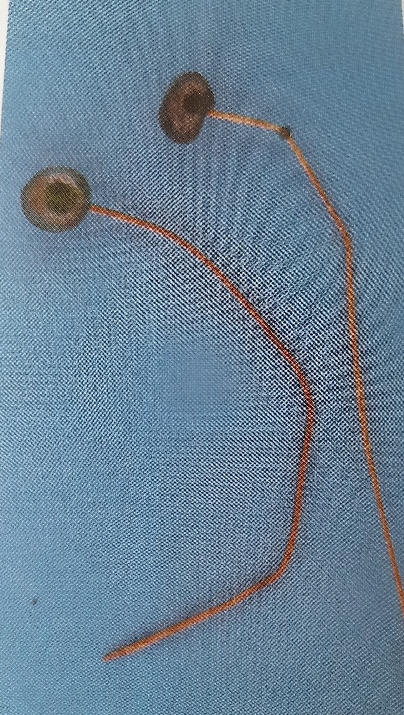 Gebende Nadel mit Glaskopf in der Farbe kobaltblau, die ideale Ergänzung für die Hochmittelalter Gewandung der Frau, Replik, Unikat - image 5