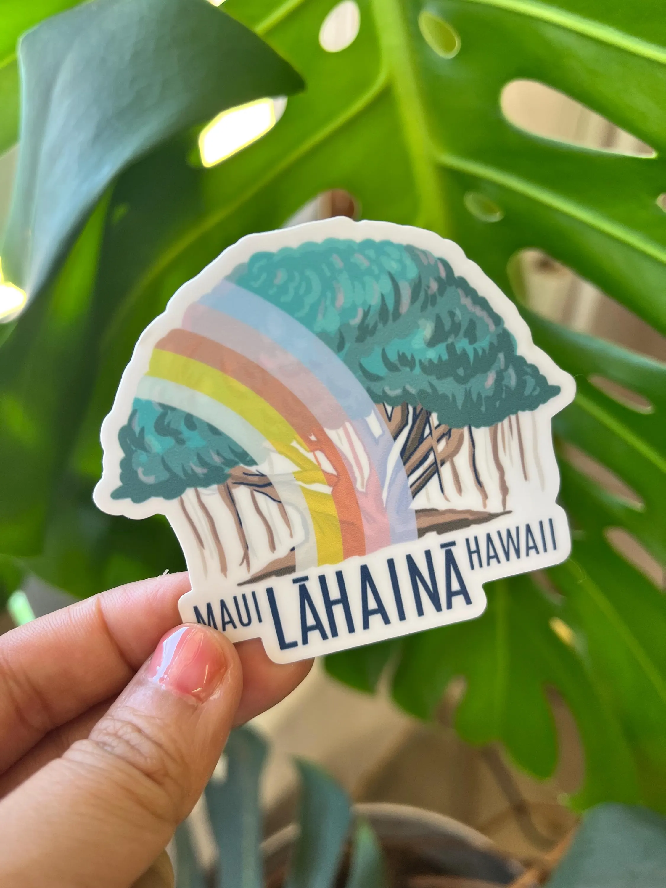 Lahaina Banyan Tree Sticker -Maui,  Hawaii