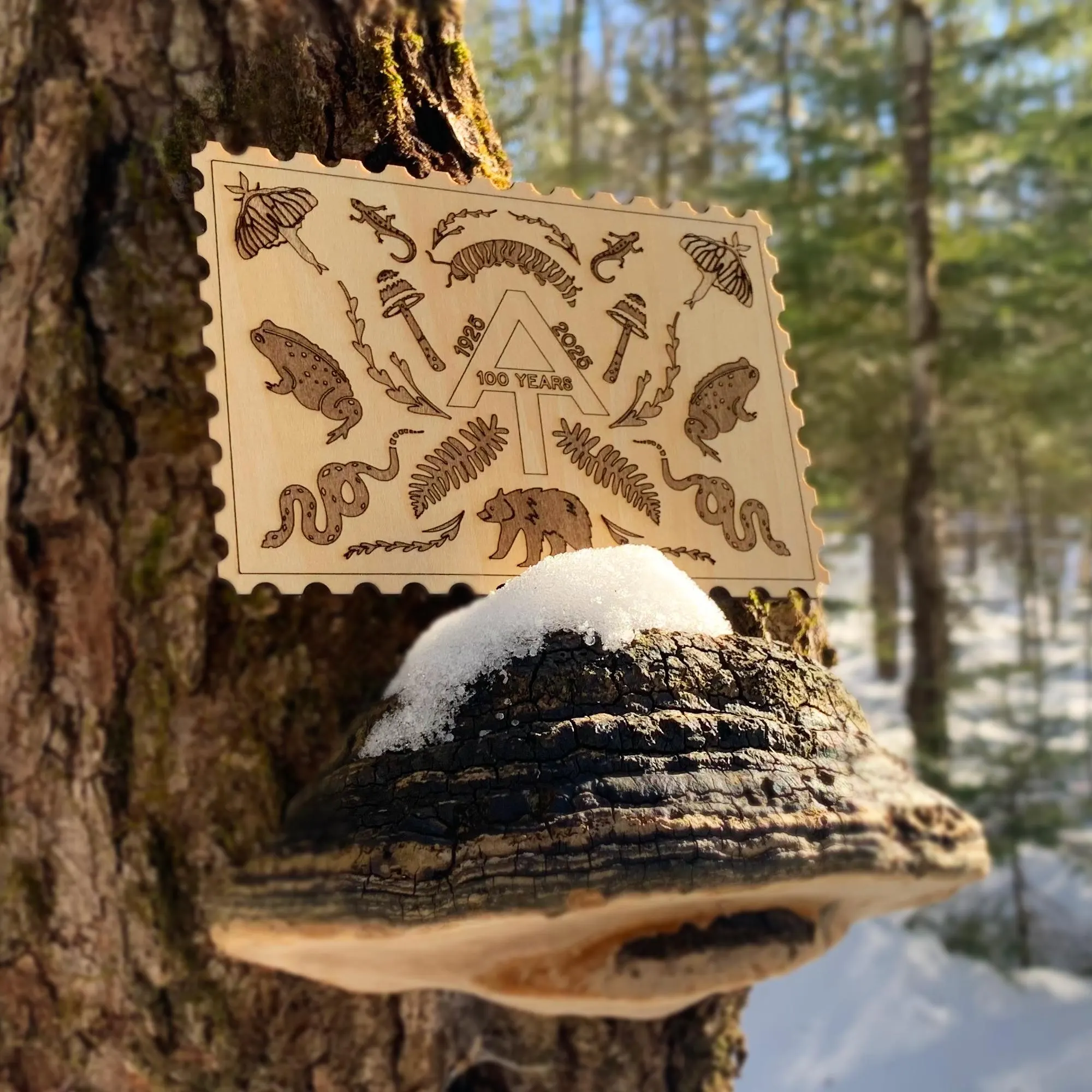 Appalachian Trail Centennial Laser Engraved Basswood Postcard - image 2