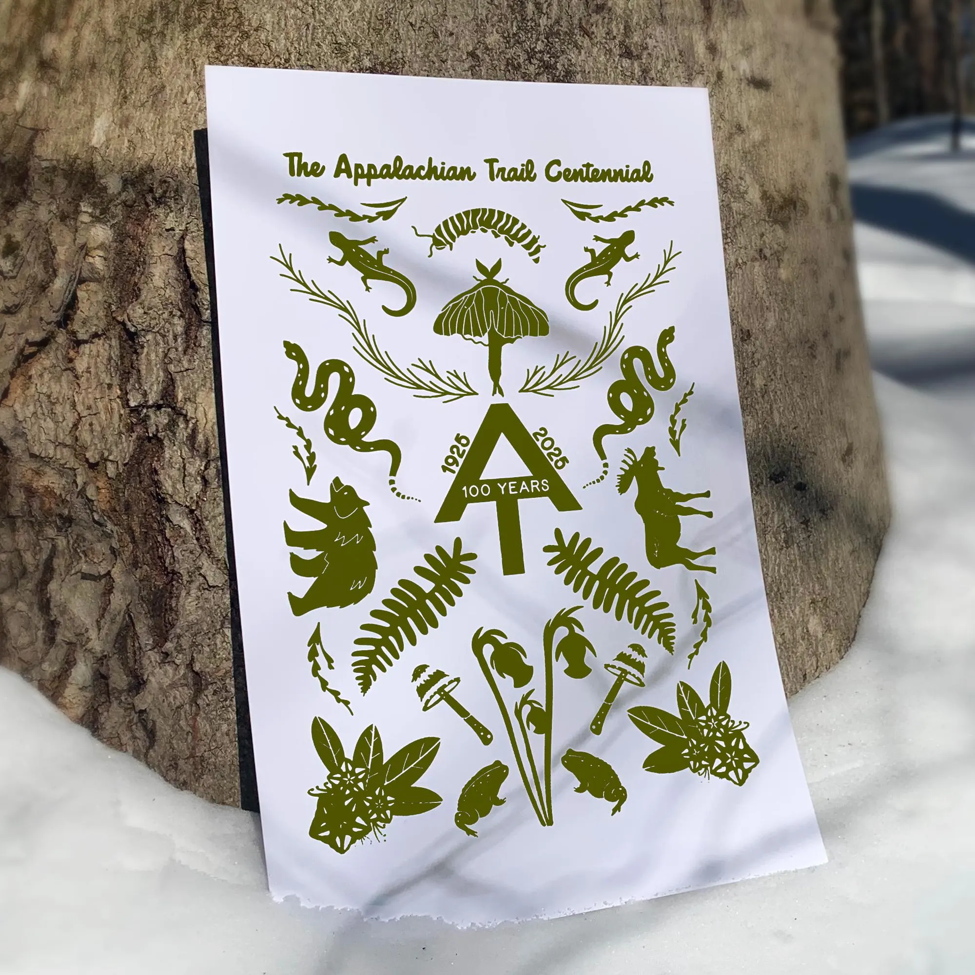 Appalachian Trail Centennial Print: AT Thru-Hiker Gift - 11x17 - image 2