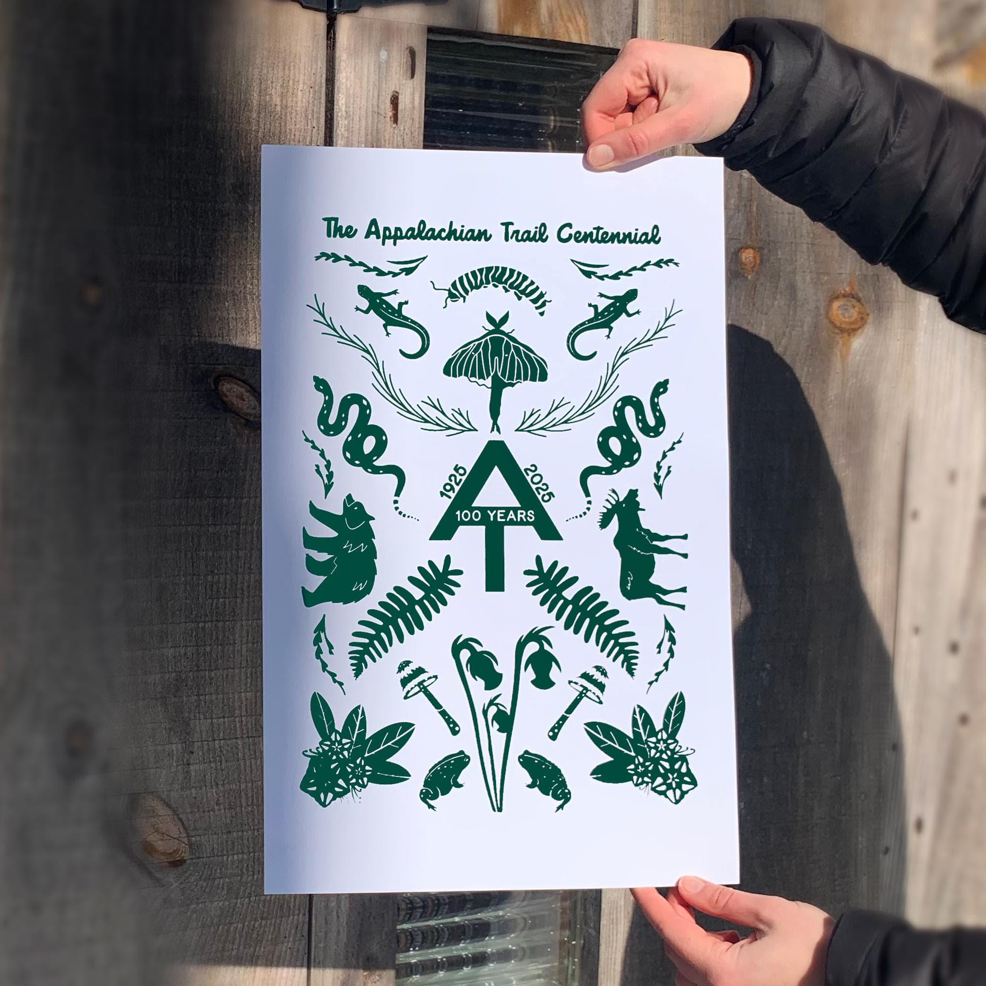 Appalachian Trail Centennial Print: AT Thru-Hiker Gift - 11x17 - image 3