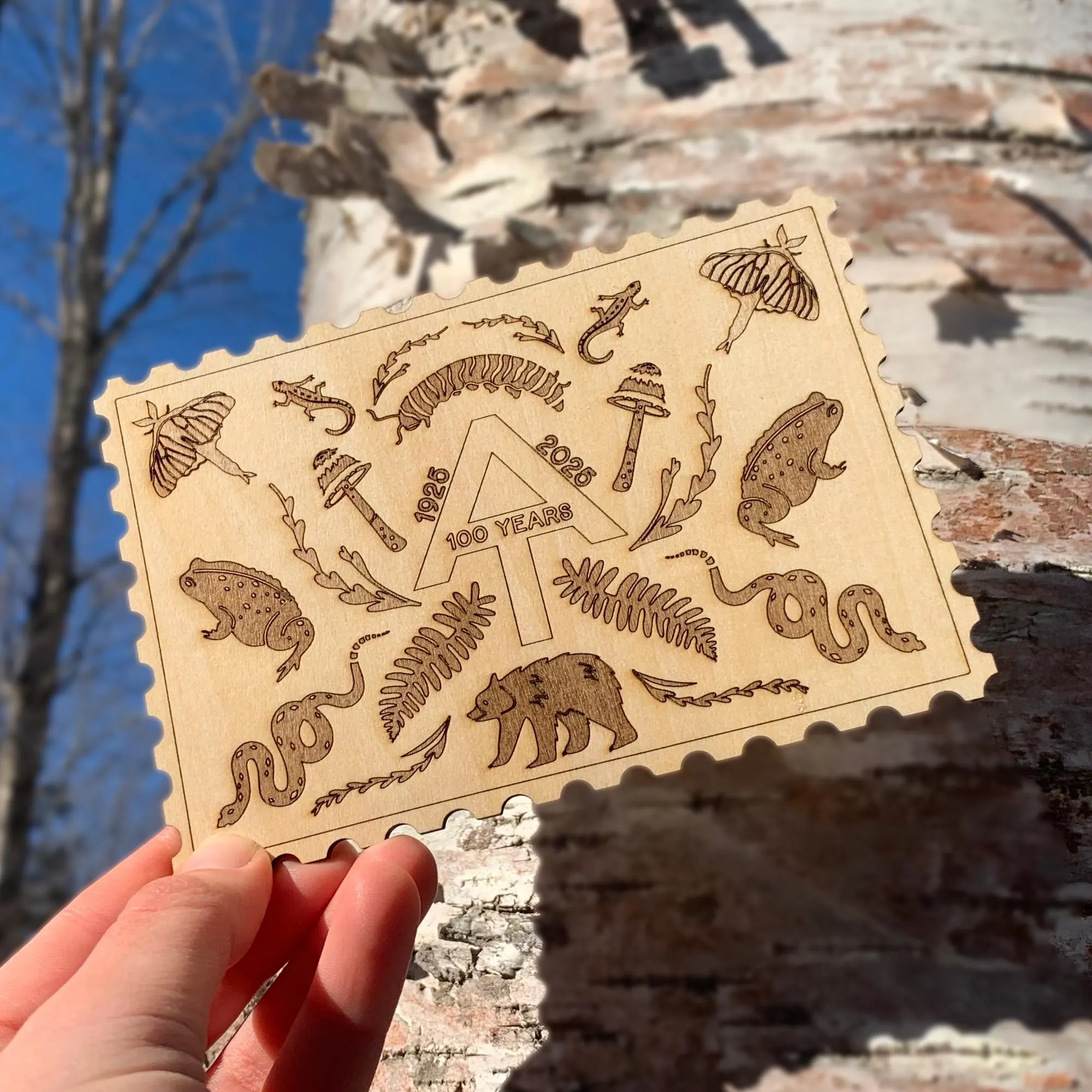 Appalachian Trail Centennial Laser Engraved Basswood Postcard - image 3