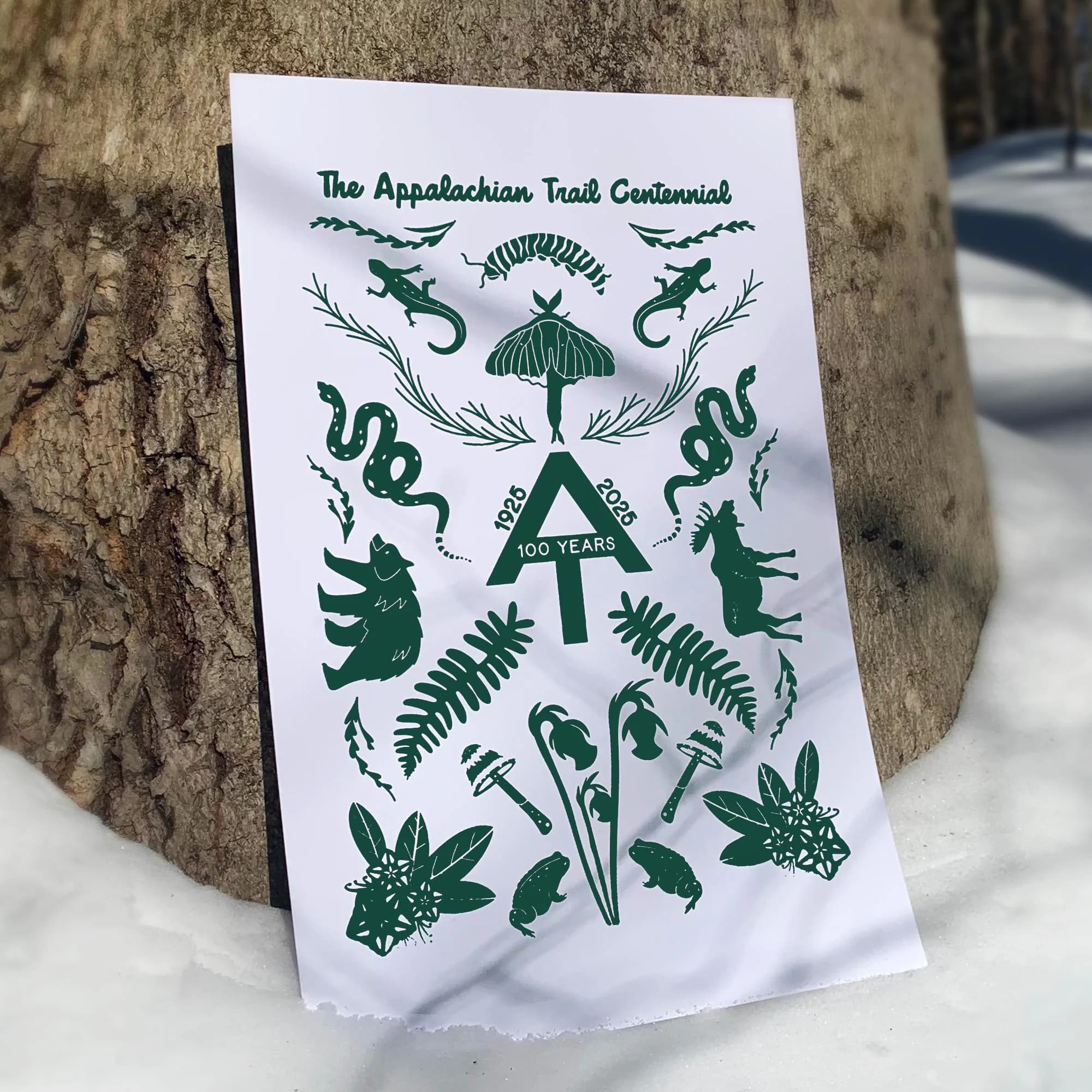 Appalachian Trail Centennial Print: AT Thru-Hiker Gift - 11x17