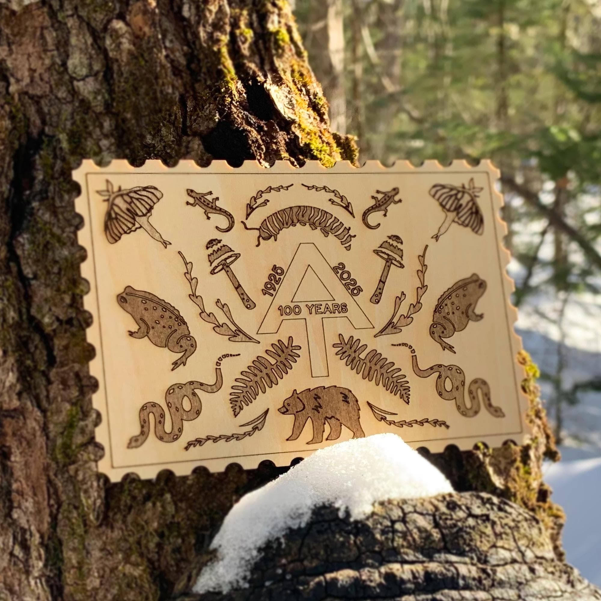 Appalachian Trail Centennial Laser Engraved Basswood Postcard - image 5