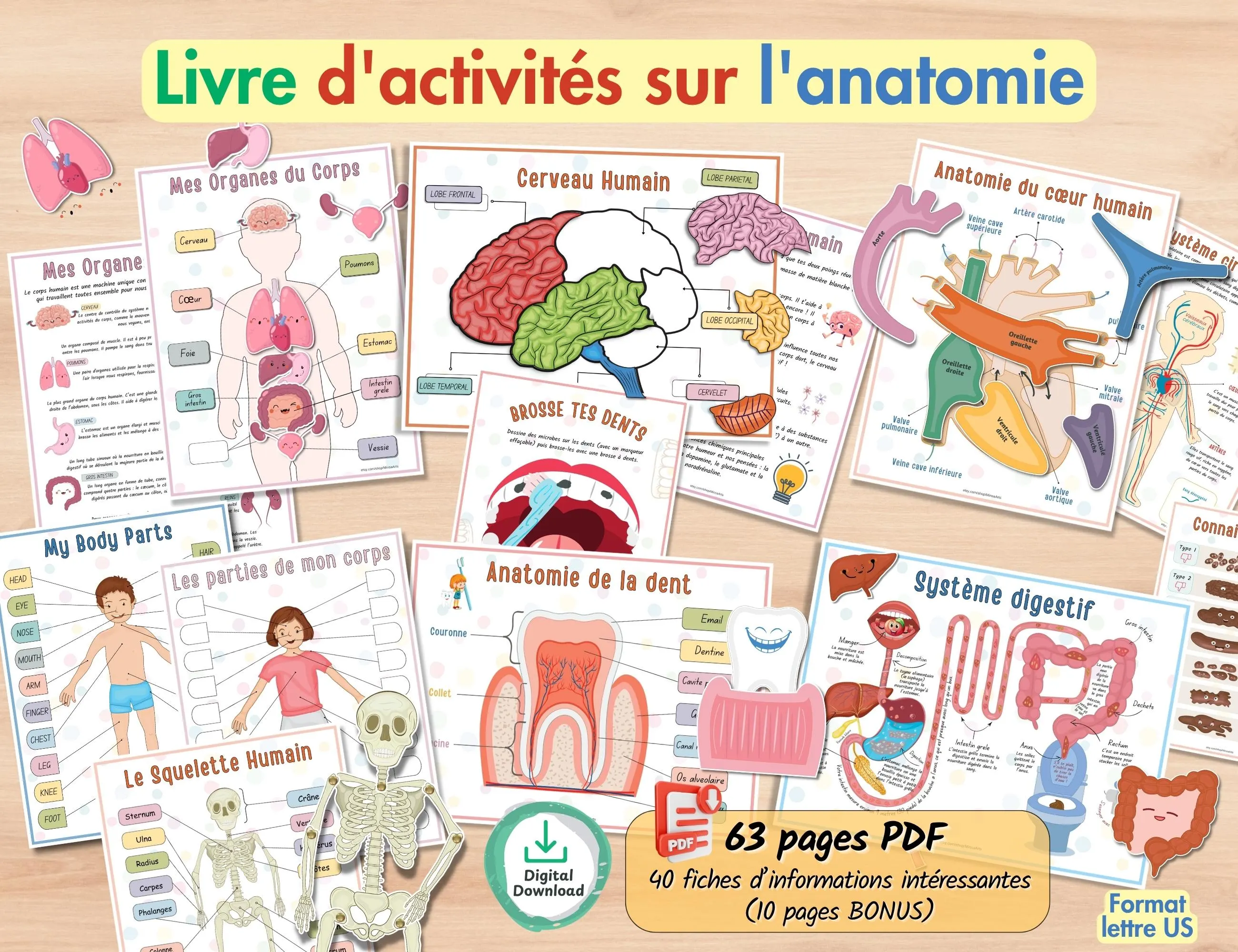 Human Anatomy Activity Book: Homeschool Printable - Body Parts, Organs (PDF Download)