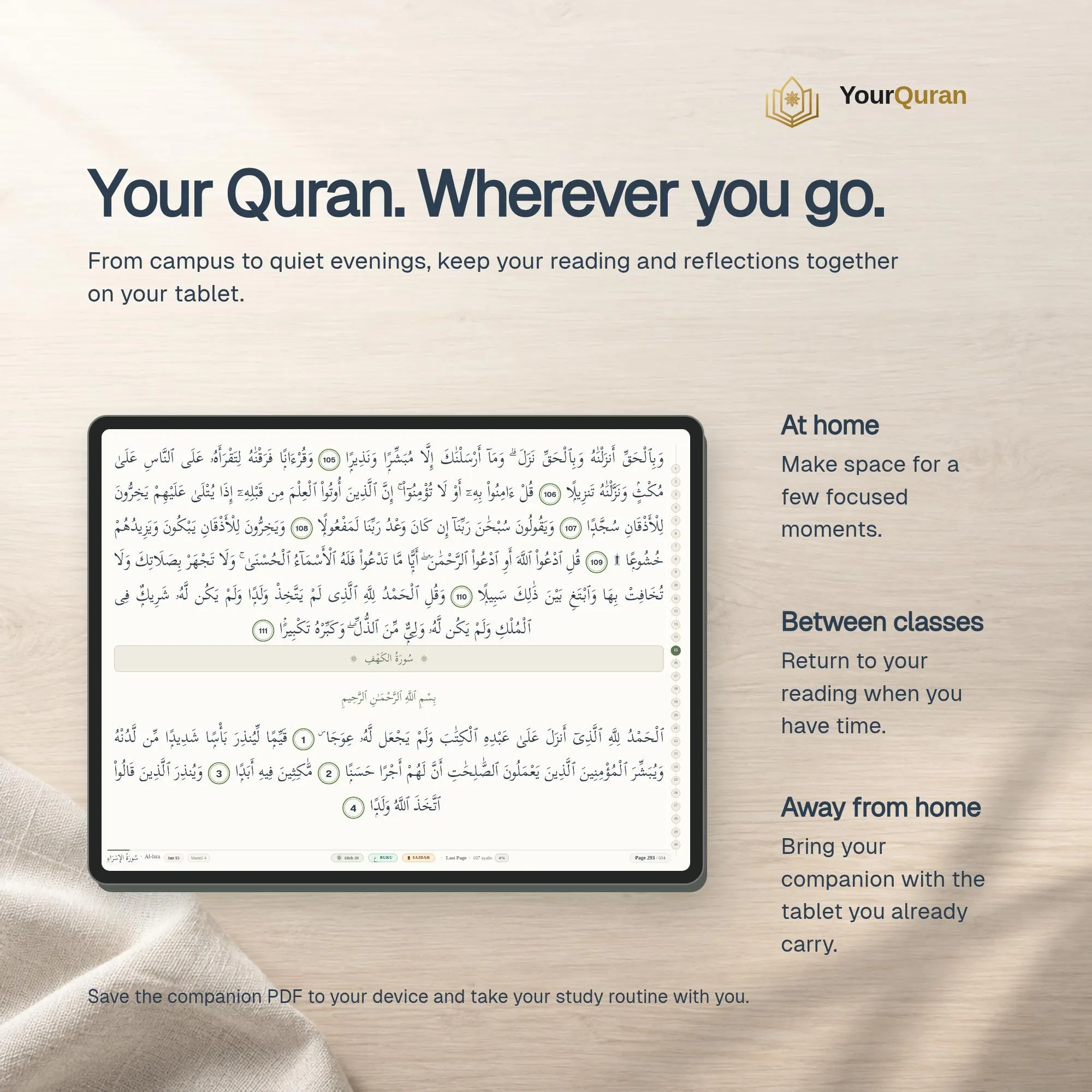 Talebe Quran Study Companion – Arabic-Only Mushaf, Reyhan Theme (Digital Download) - image 4