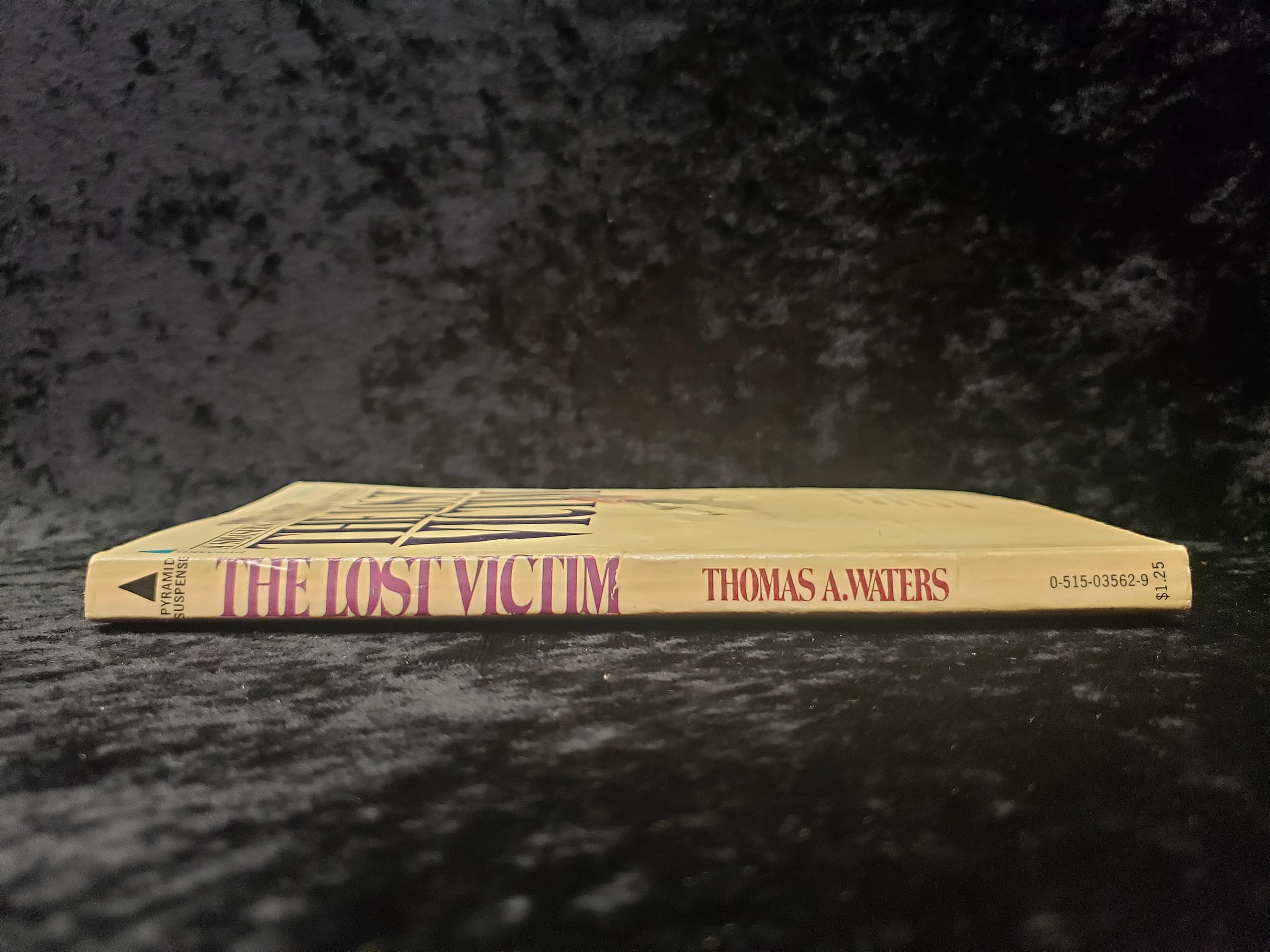 The Lost Victim by Thomas A. Waters - 1975 Vintage Gothic romance paperback book - image 4