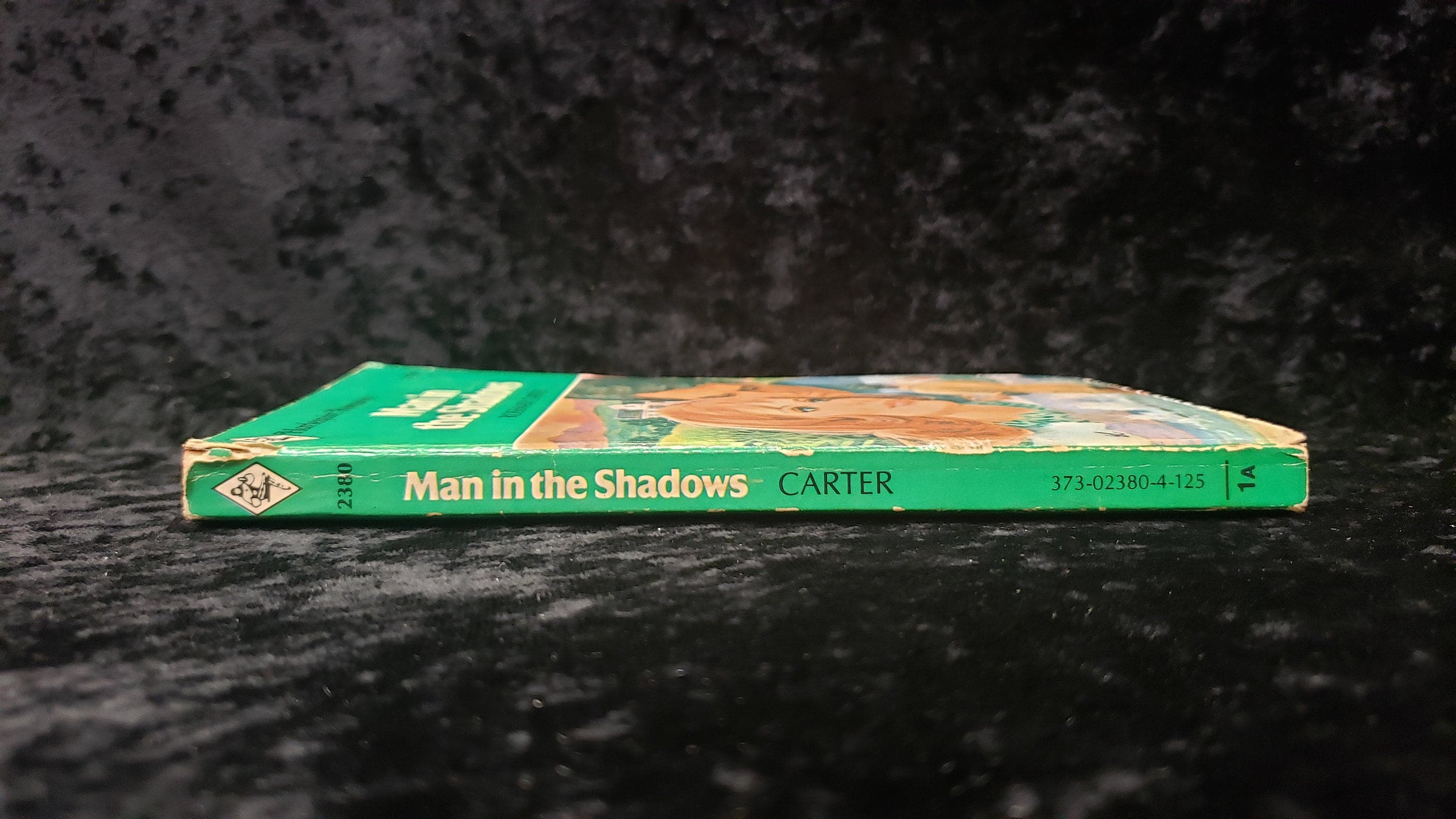 Man in the Shadows by Rosemary Carter - 1981 Vintage Harlequin Romance paperback book - image 5