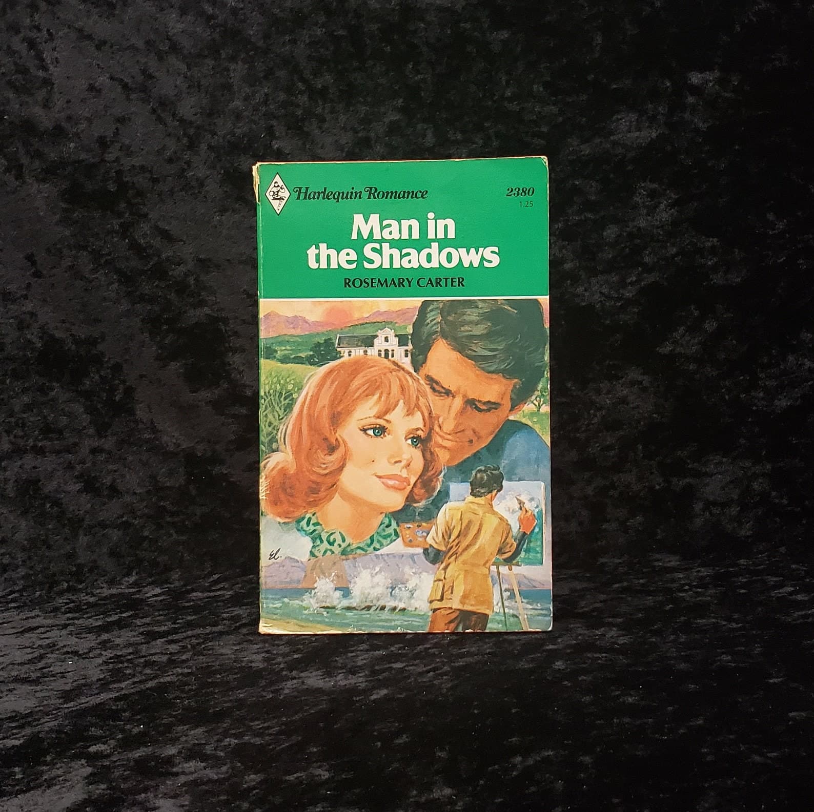 Man in the Shadows by Rosemary Carter - 1981 Vintage Harlequin Romance paperback book