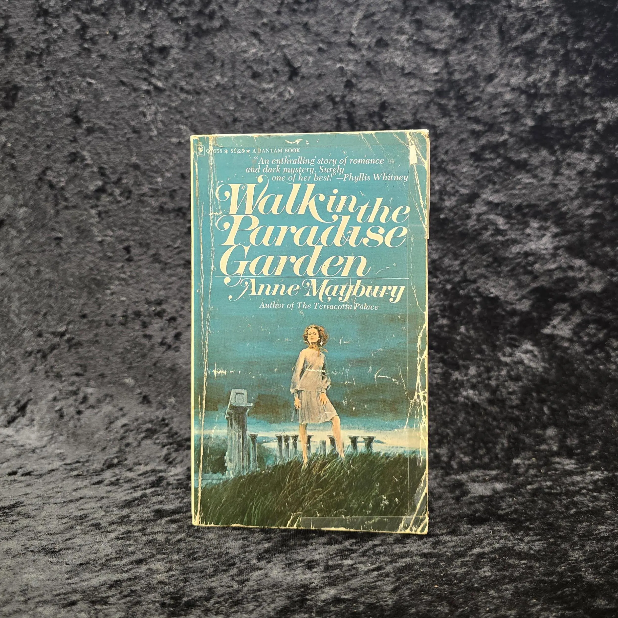 Walk in the Paradise Garden by Anne Maybury - 1973 Vintage Gothic romance paperback book